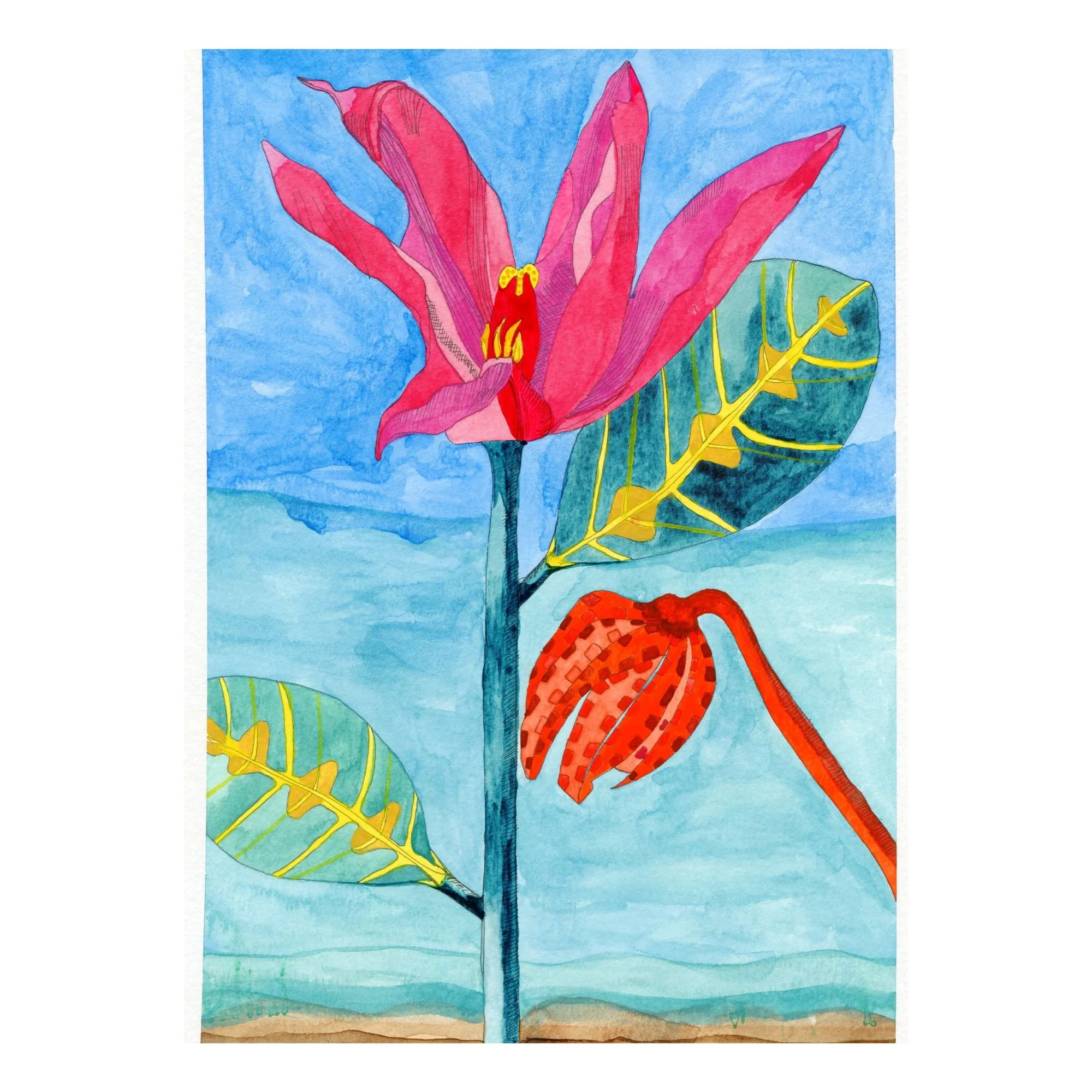 Title: Novel Botanical 15 (2025).
Dimensions: 7 x 10 x .01
Medium: Watercolor and ink on paper.
