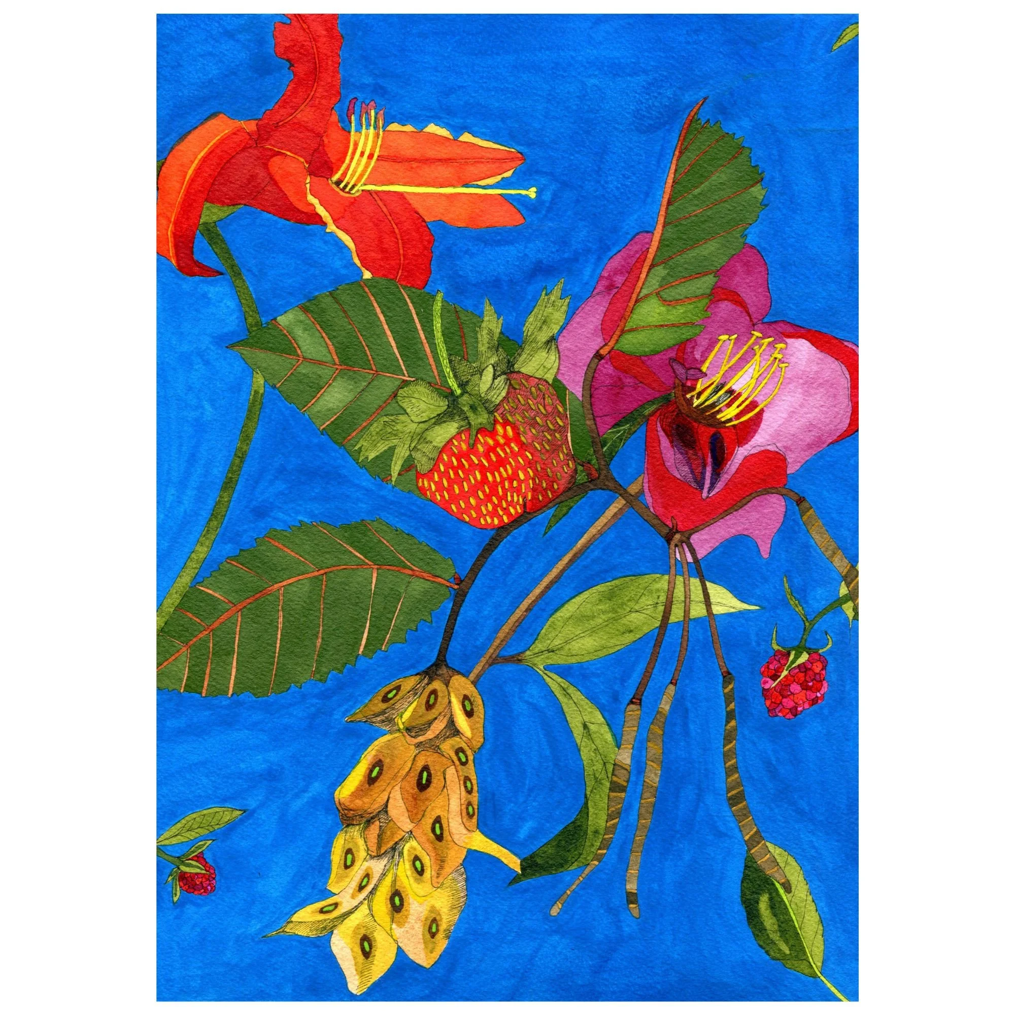 Title: Novel Botanical 23 (2025)
Dimensions: 8.75 x 11.75 in. (image size) / paper size: 9 x 12
Medium: Watercolor, ink and gouache on Arches watercolor paper