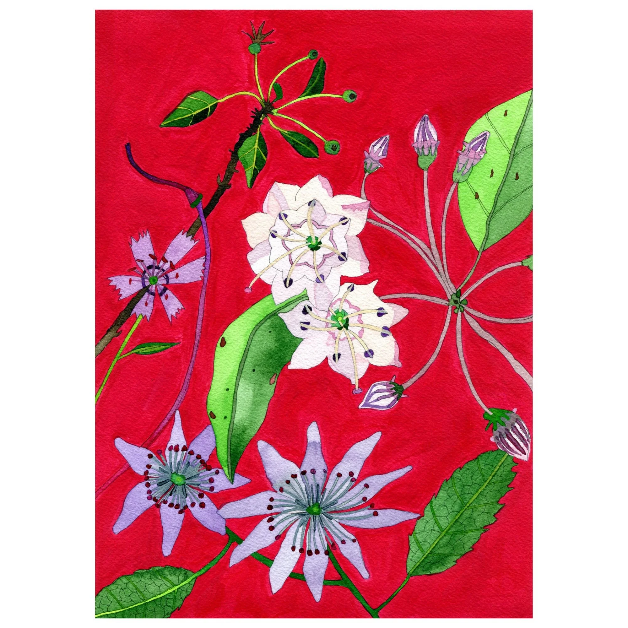 Title: Novel Botanical 21 (2025)
Dimensions: 10.5 x 8 (image size) / paper size: 9 x 12
Medium: Watercolor, ink and gouache on Arches watercolor paper