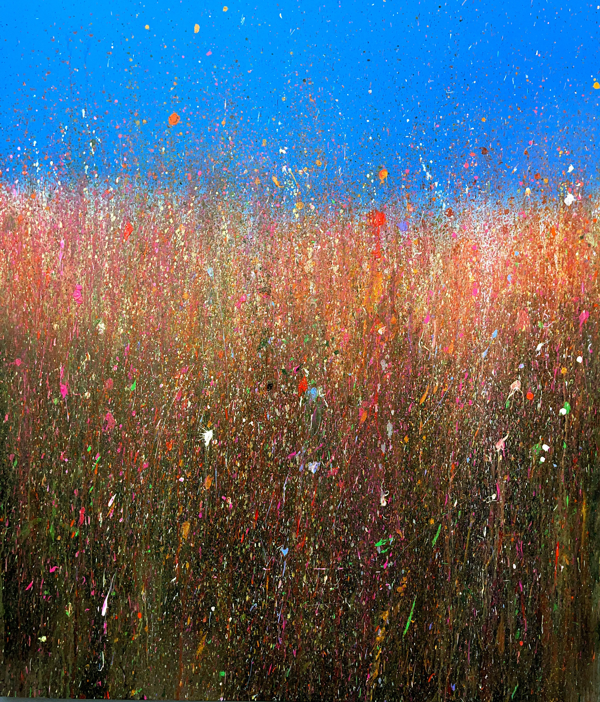 Title is Fields of Joy.jpg