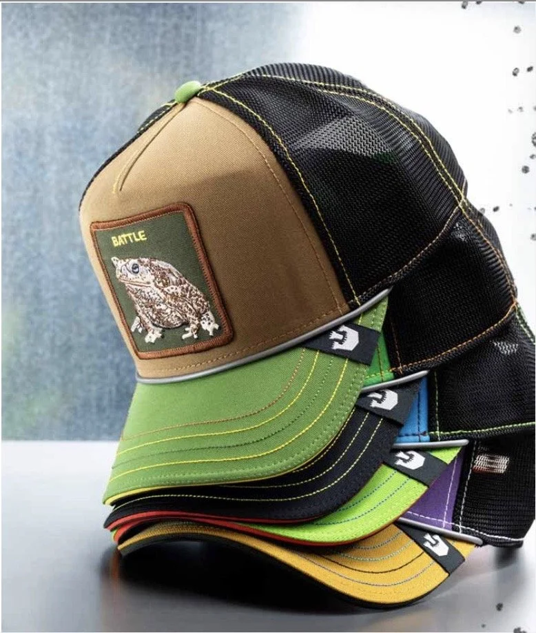 Image 06-11-2023 at 10.32.jpeg