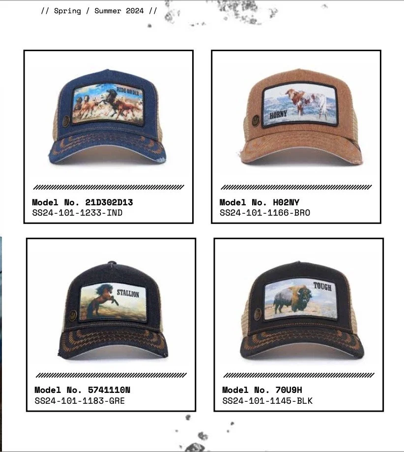 Image 06-11-2023 at 10.39 (1).jpeg