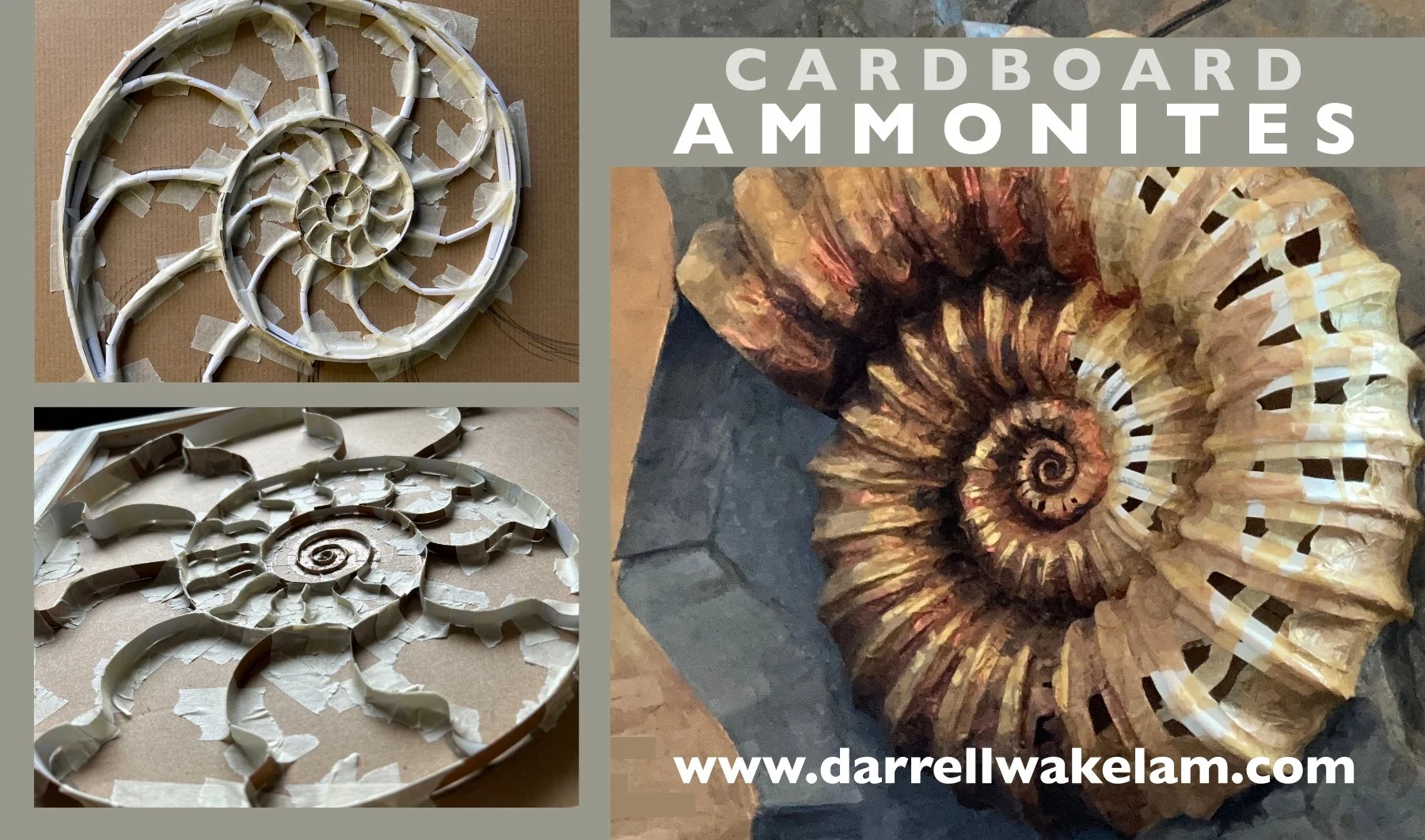 Cardboard Ammonites