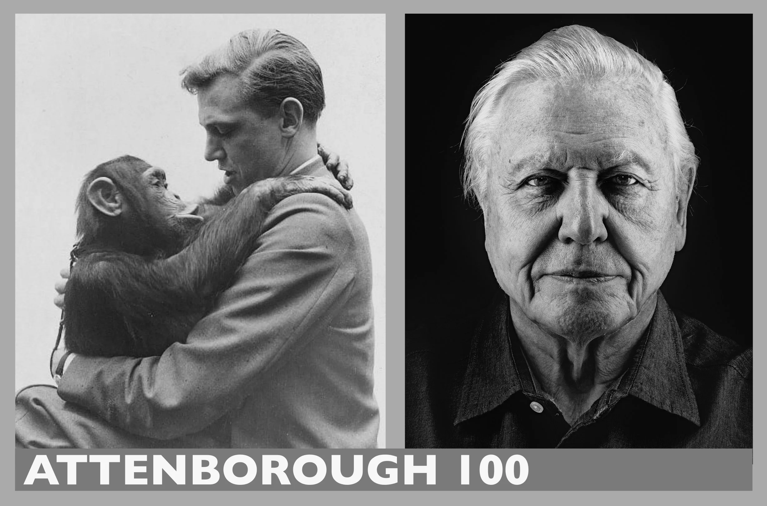 Attenborough 100