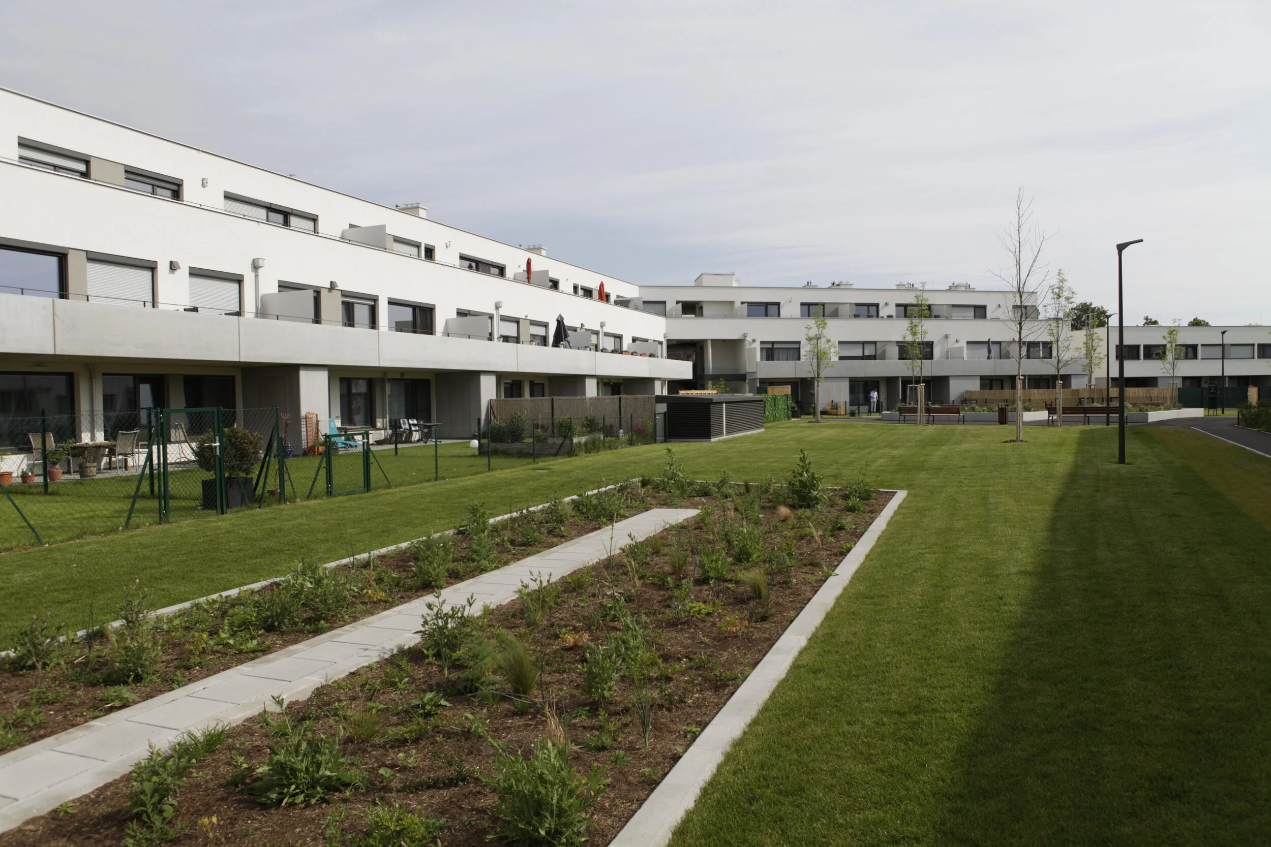  Wohnen am Pionierweg | Neusiedl am See | Kräuterfeld | © Rainer Schoditsch 