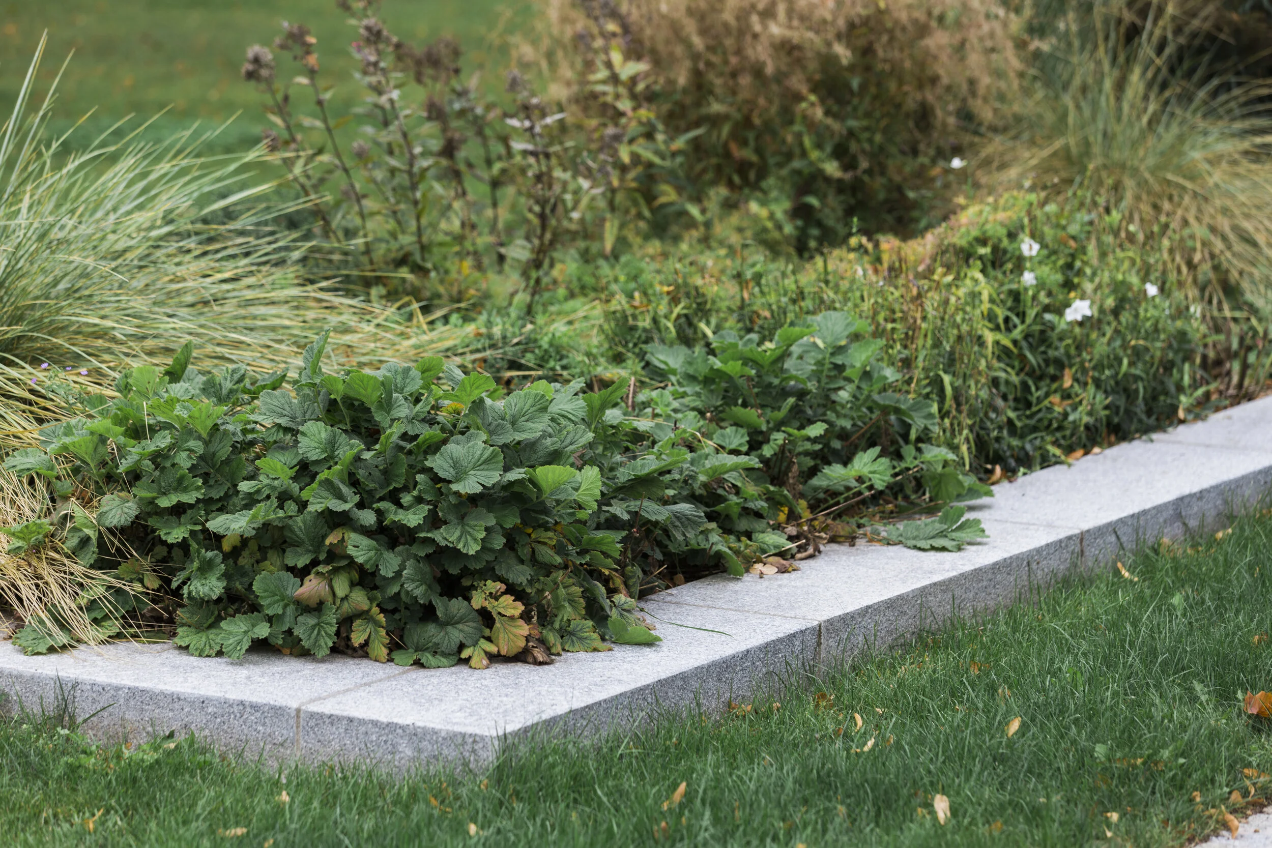  Kirchenpark | Wiesen | Staudenbeet mit Graniteinfassung | © Rainer Schoditsch 