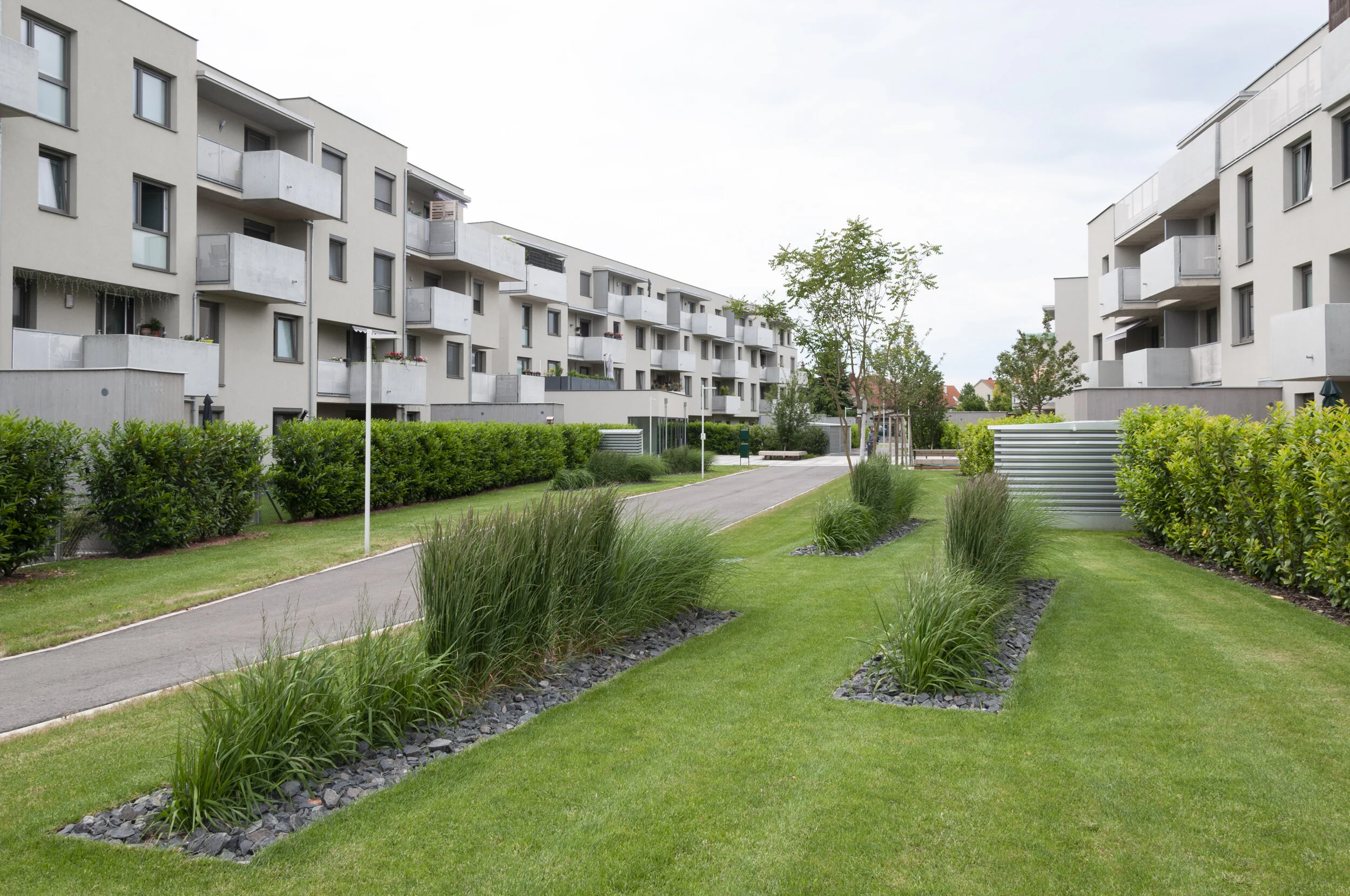  Wohnen am Bründlfeldweg | Eisenstadt | Gräserfelder | © Rainer Schoditsch 