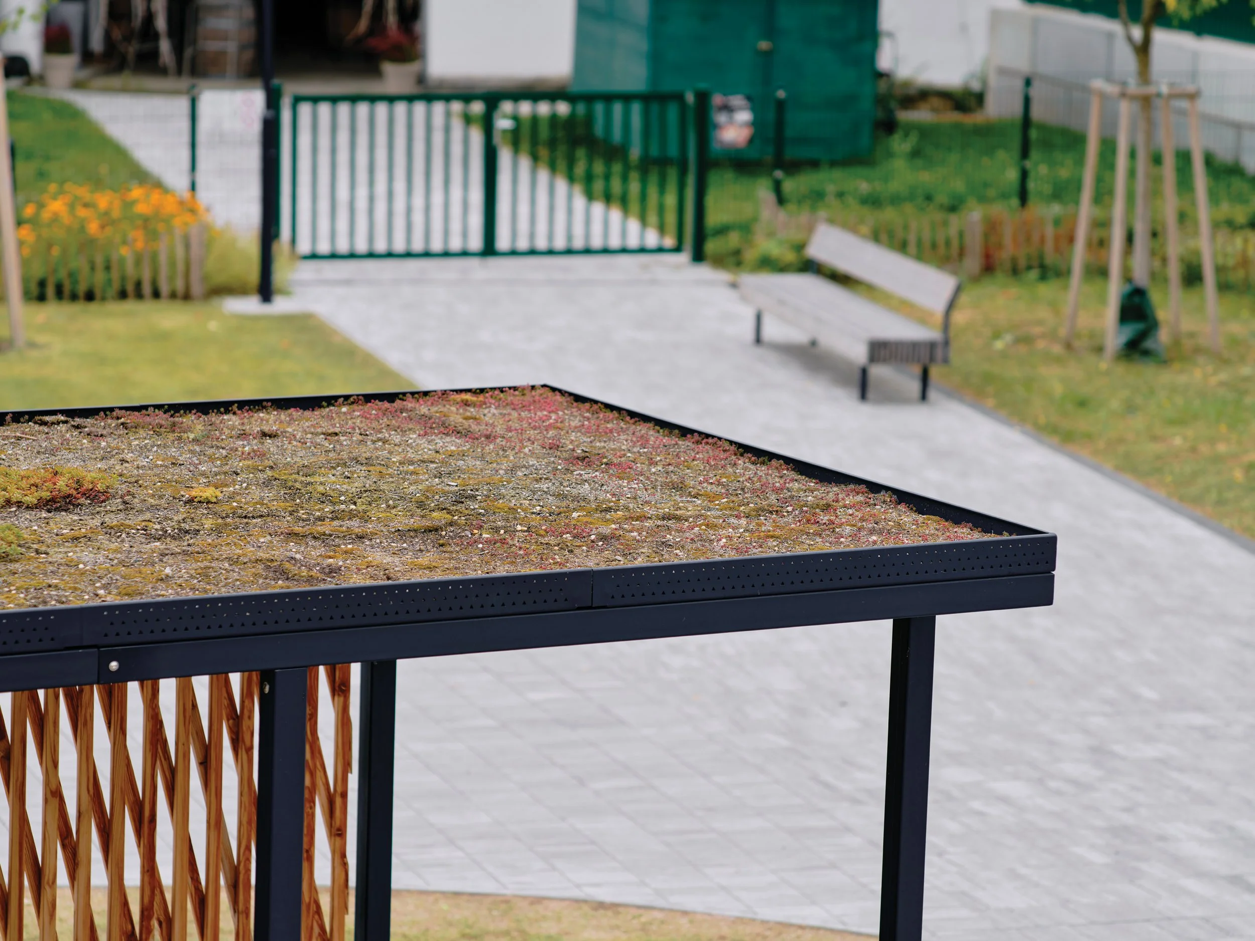  Jubiläumspark Mattersburg | Dachbegrünung | © Vojtech Veskrna 