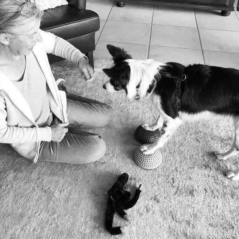 karenanimalbehaviourist_20200428_145439_0.jpg