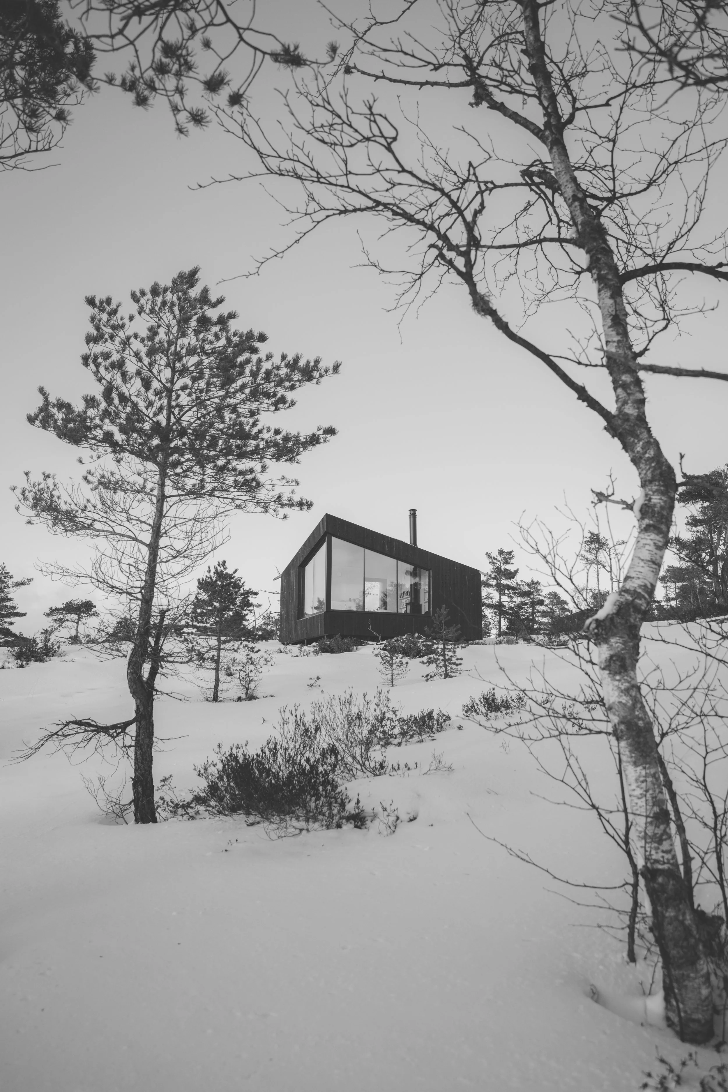 DSC_5083.jpeg