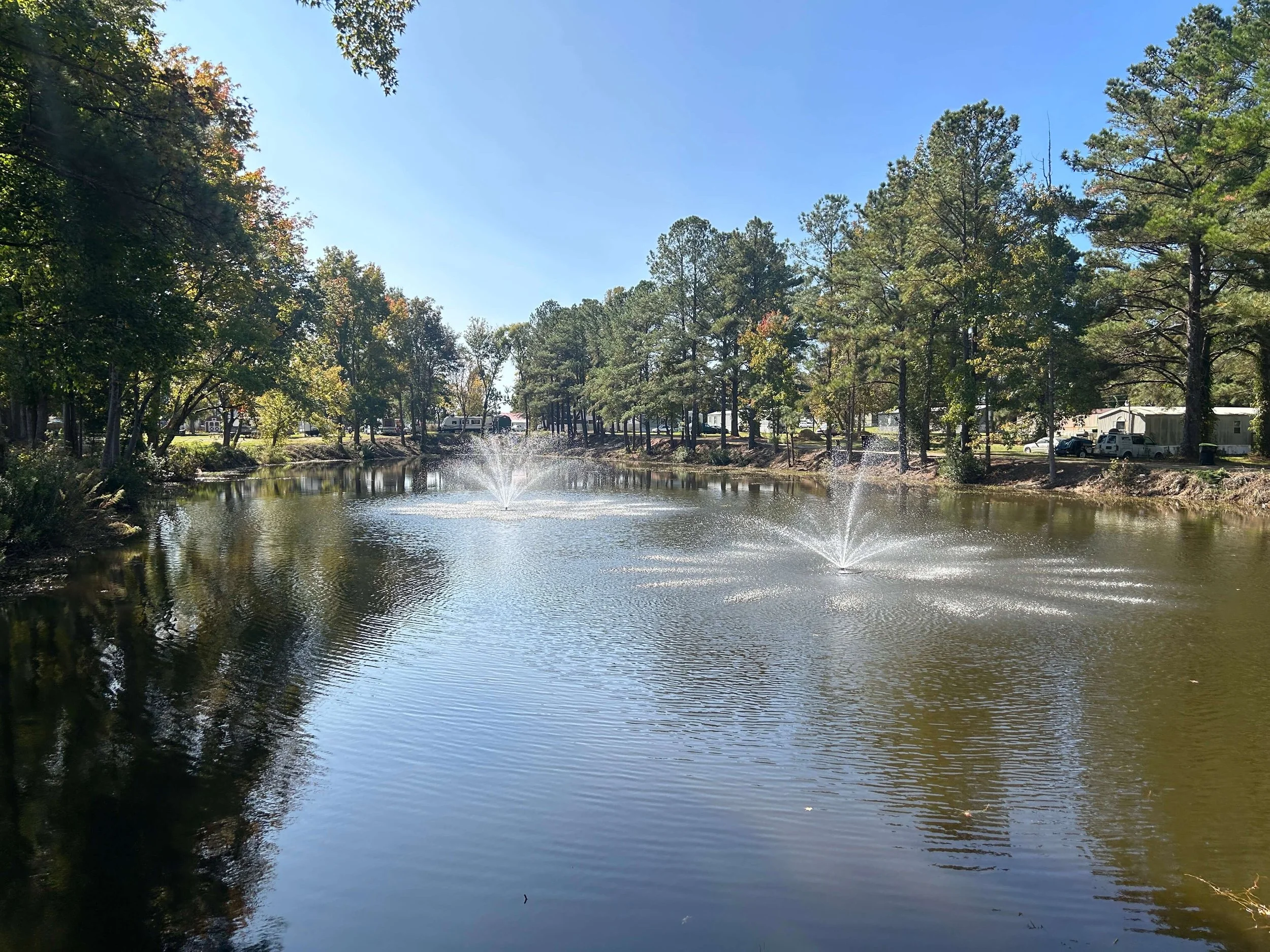 Pond