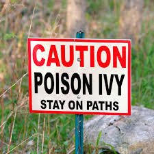 Don’t Touch That Plant! How to Identify and Avoid Poison Ivy