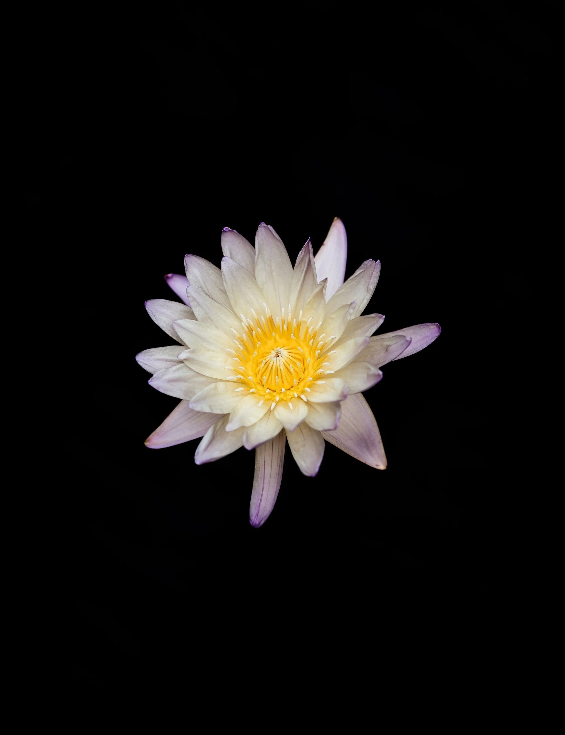 Decluttering home decluttering mind and time