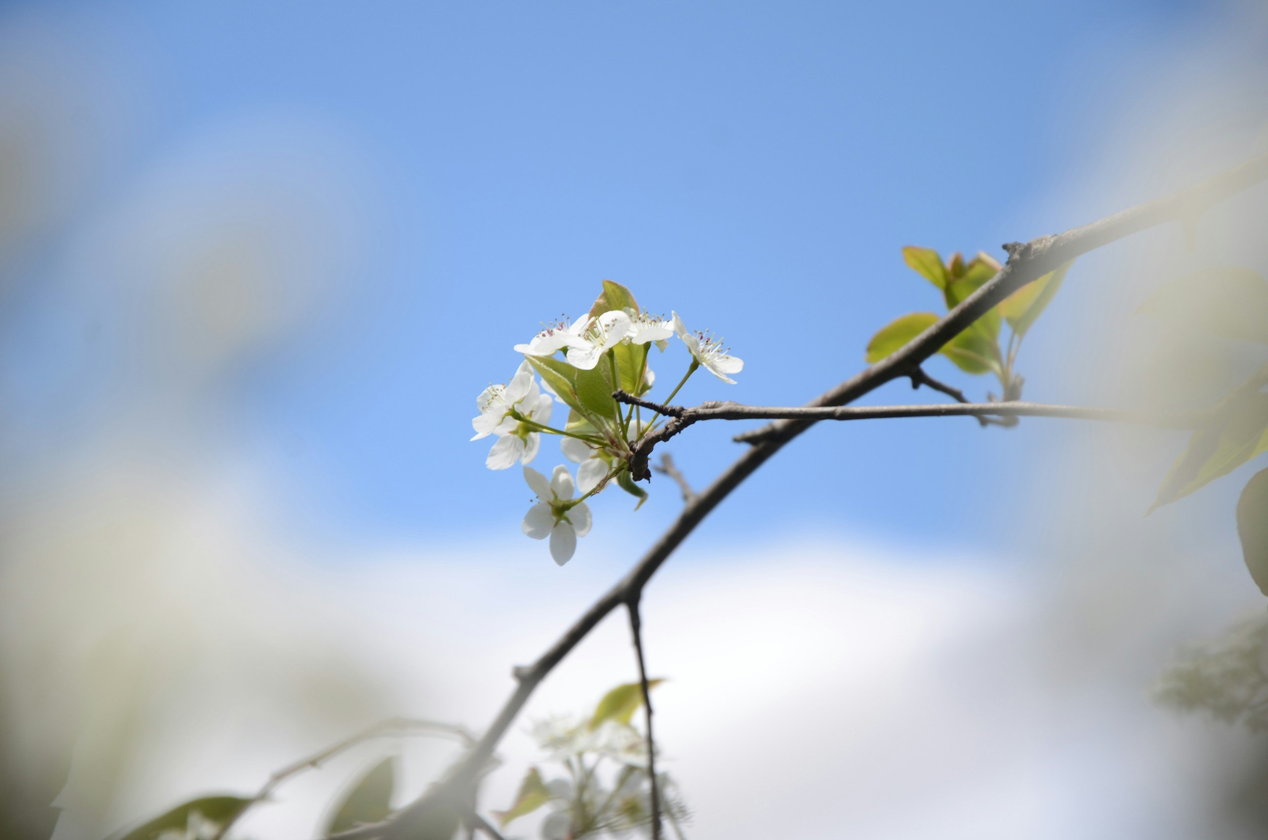 How Creative Practice Supports Mindfulness