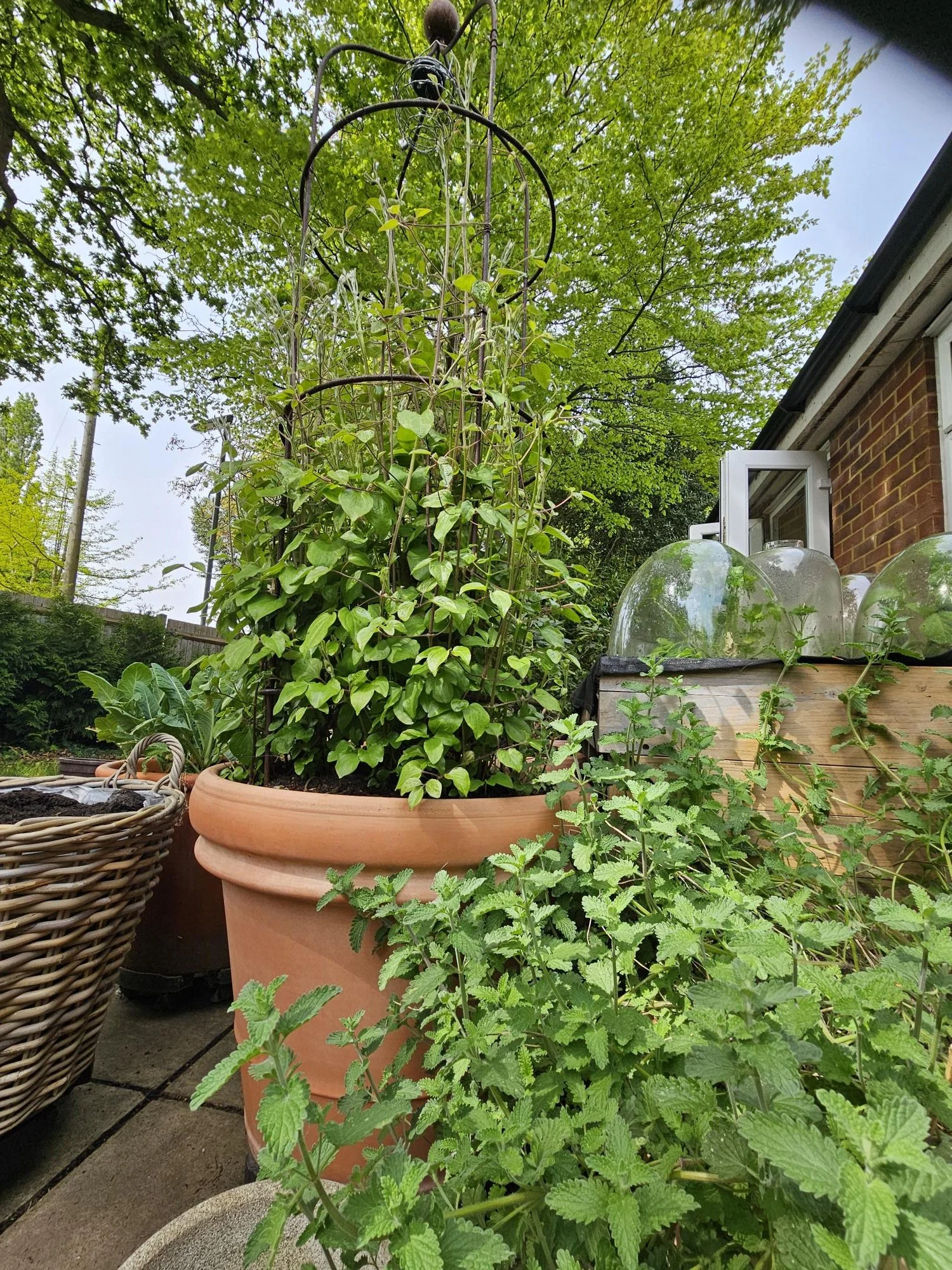 Gardening Slowly: Observing Instead of Controlling