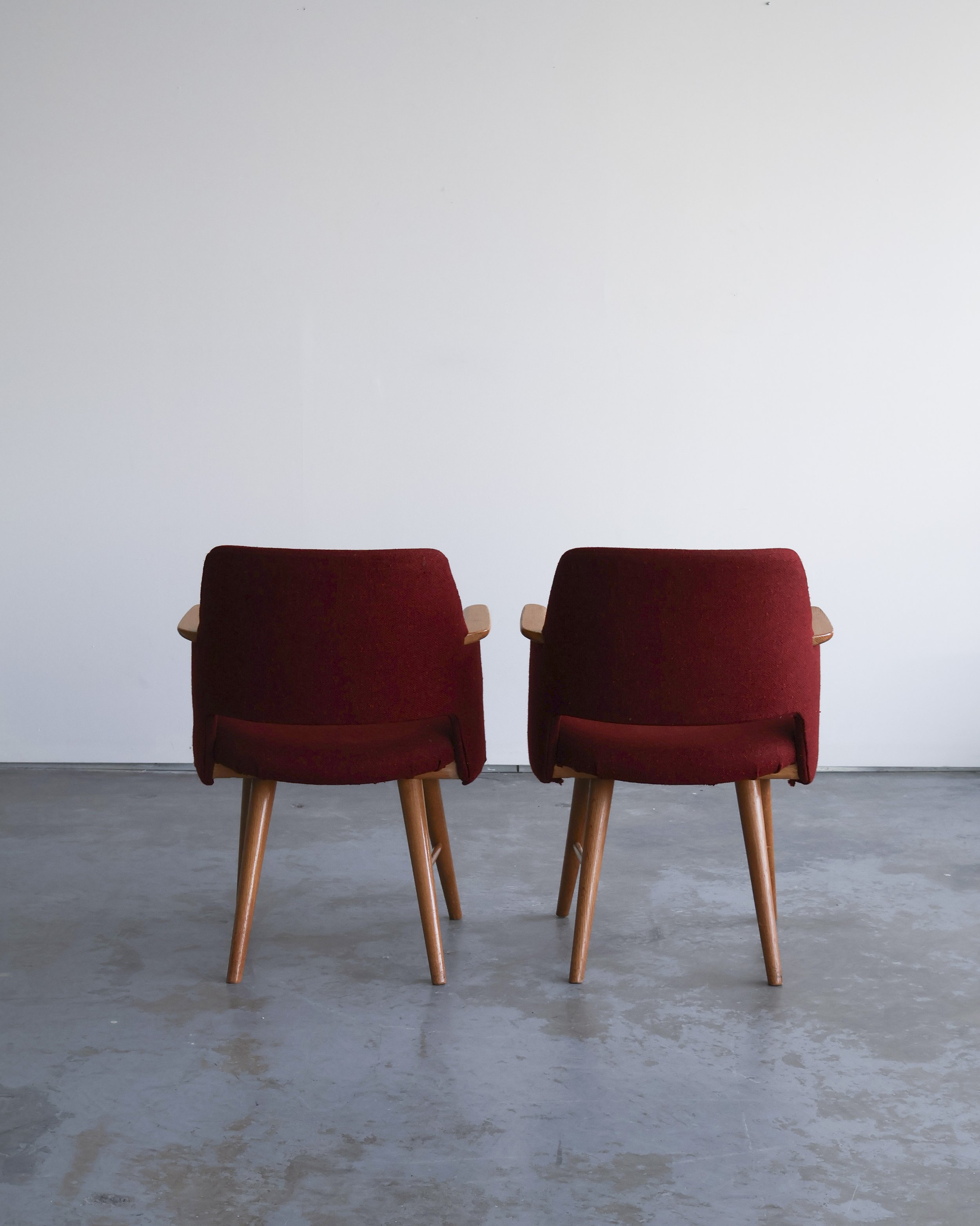 "FT30" Armchairs by Cees Braakman for Pastoe - 1954