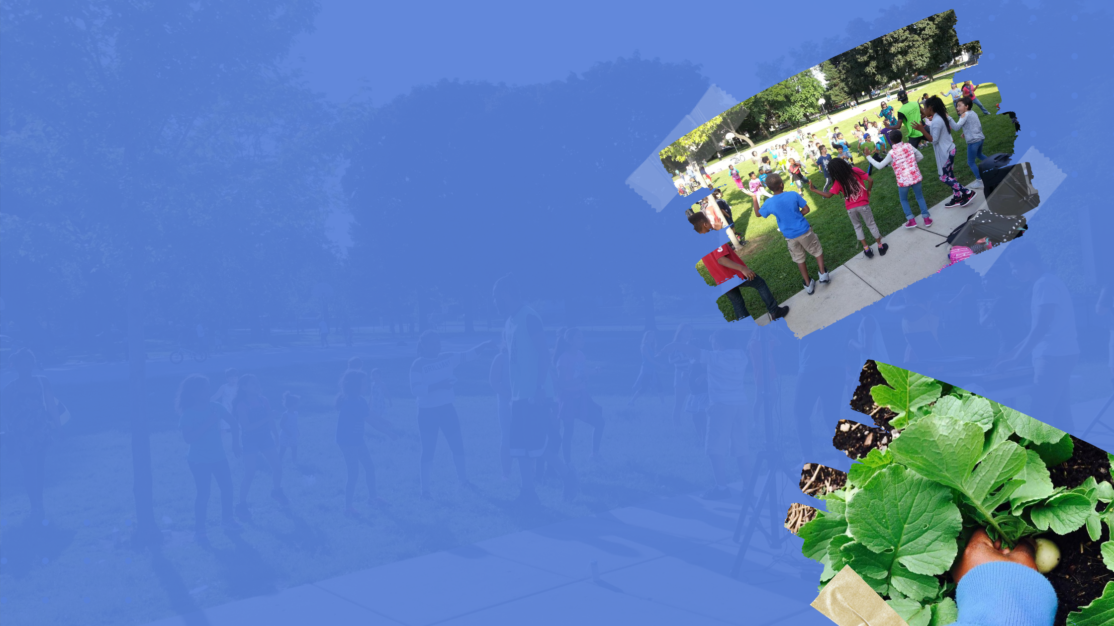 Our Work — PTA Equity Project