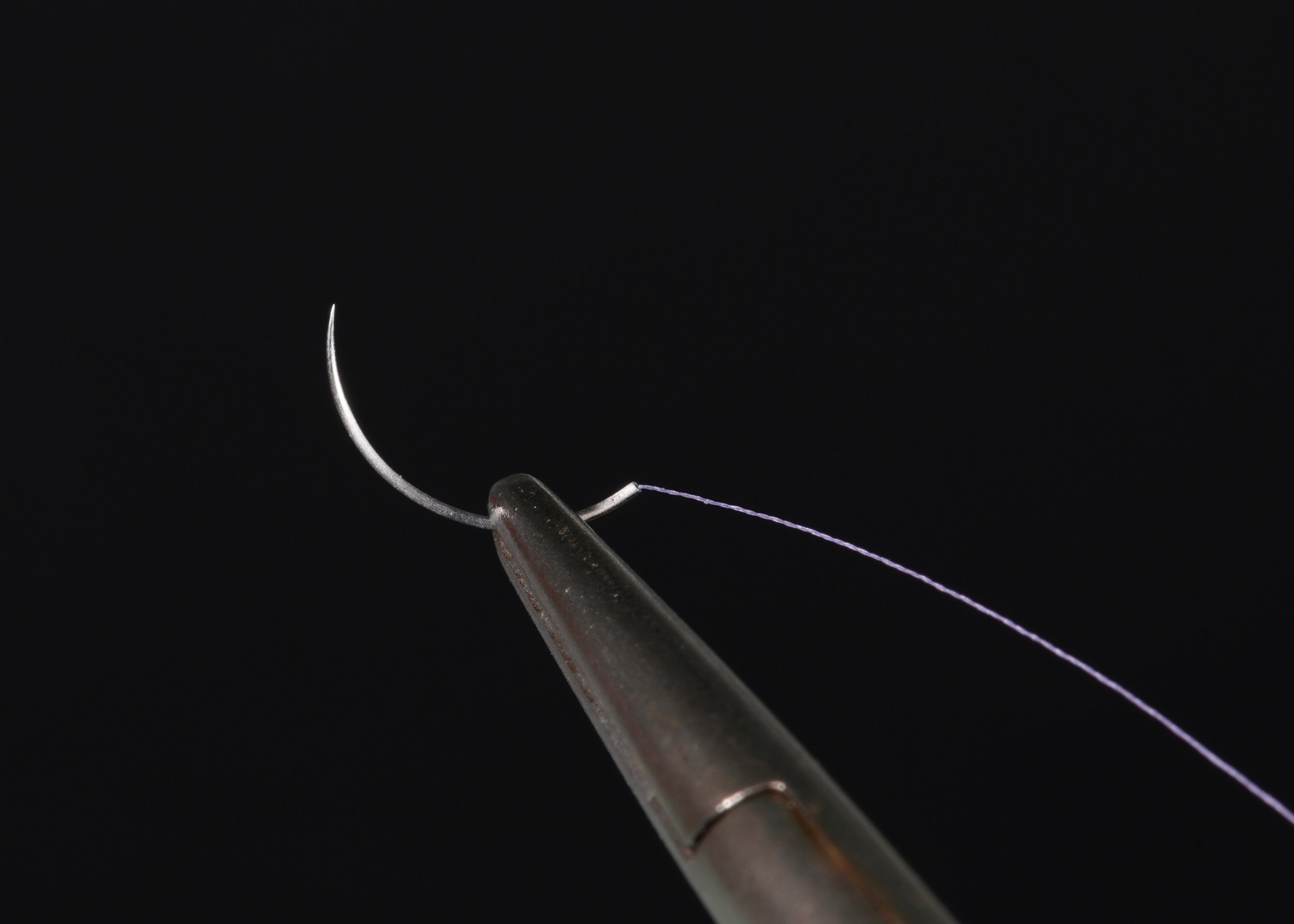 _DSC3619.jpeg