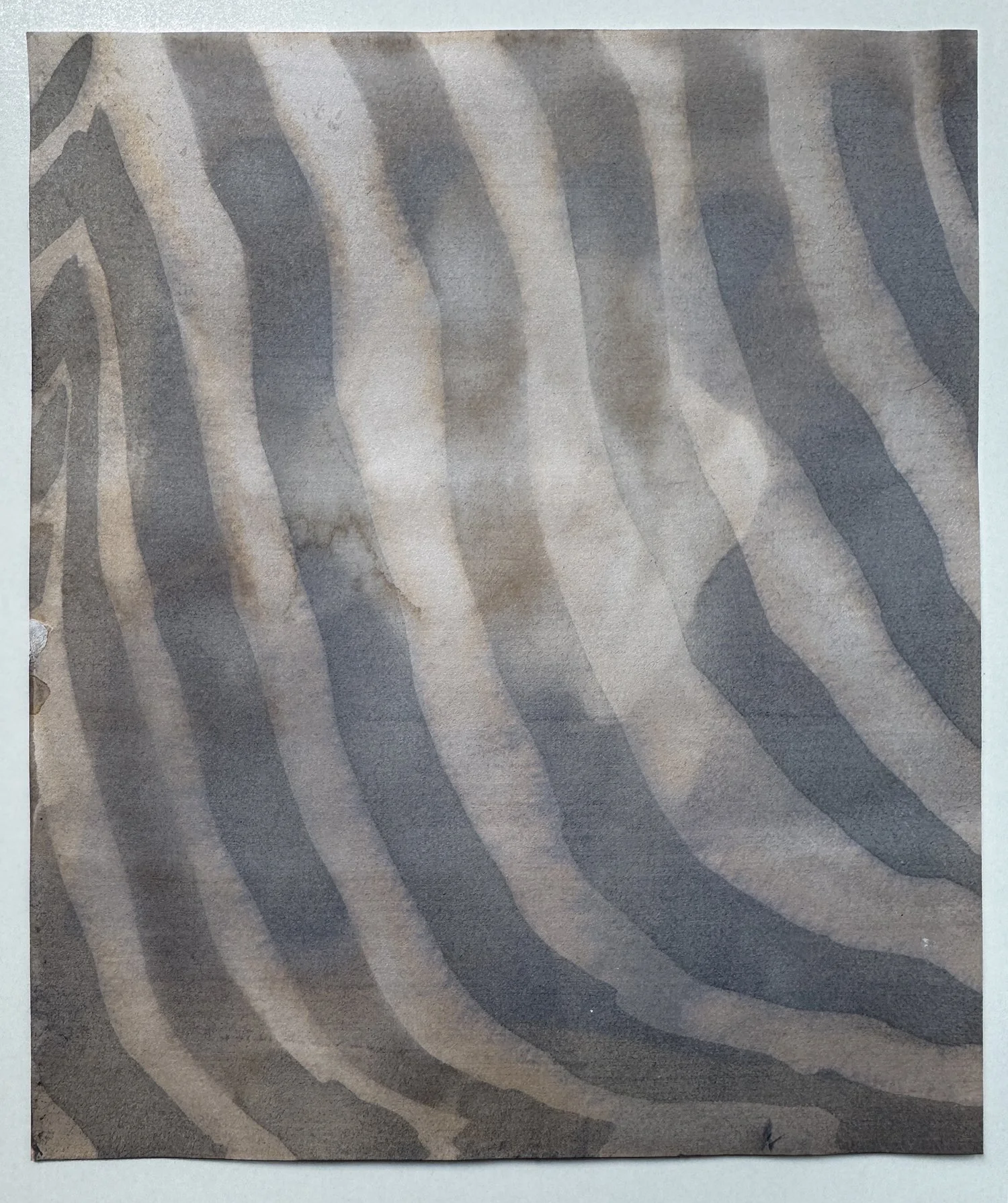 'zebra stripe', ink on paper, 21x25cm