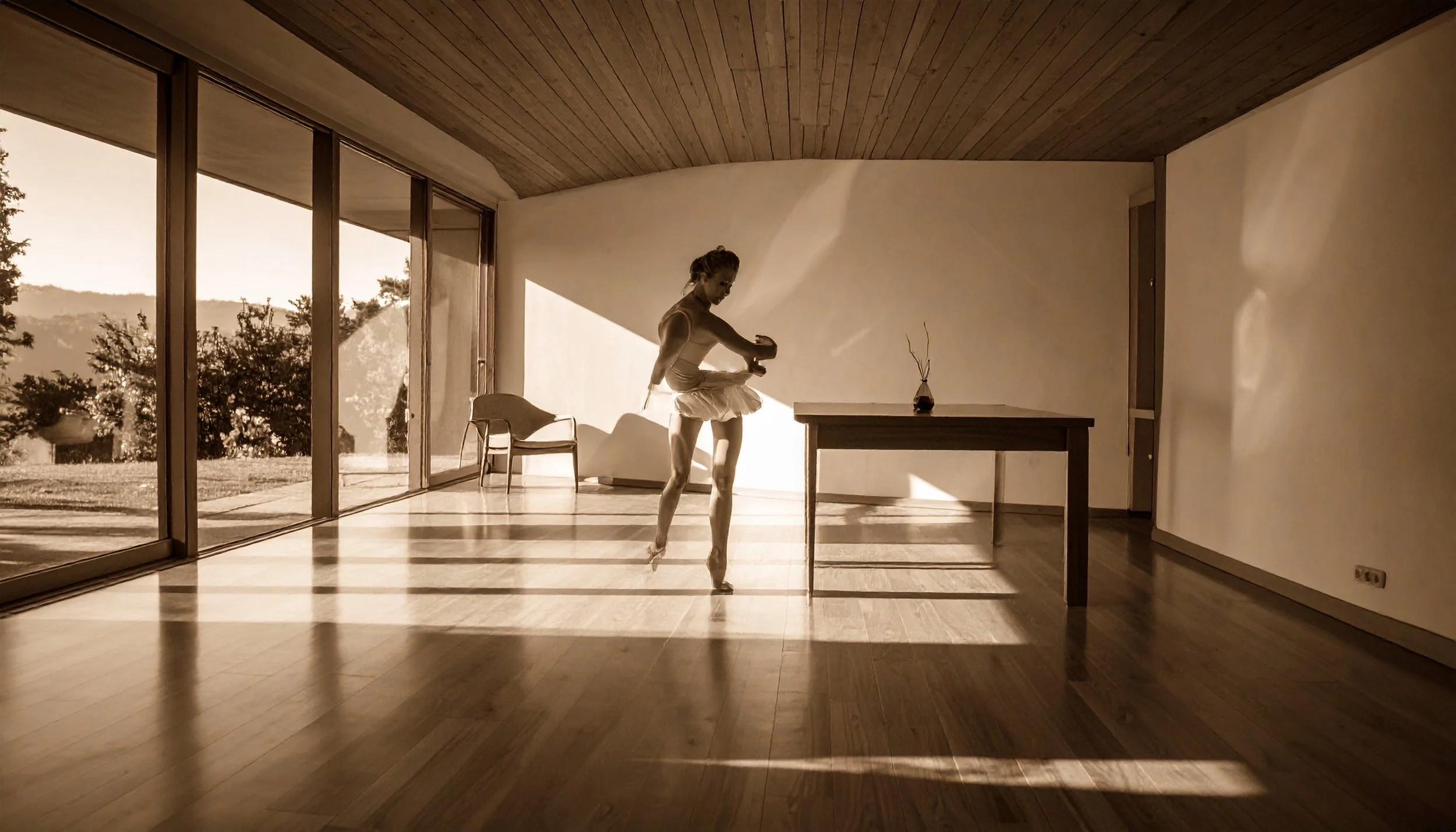 Firefly_a sepia filtered mid century modern minimalist room with natural light entering it fr 228350.jpeg