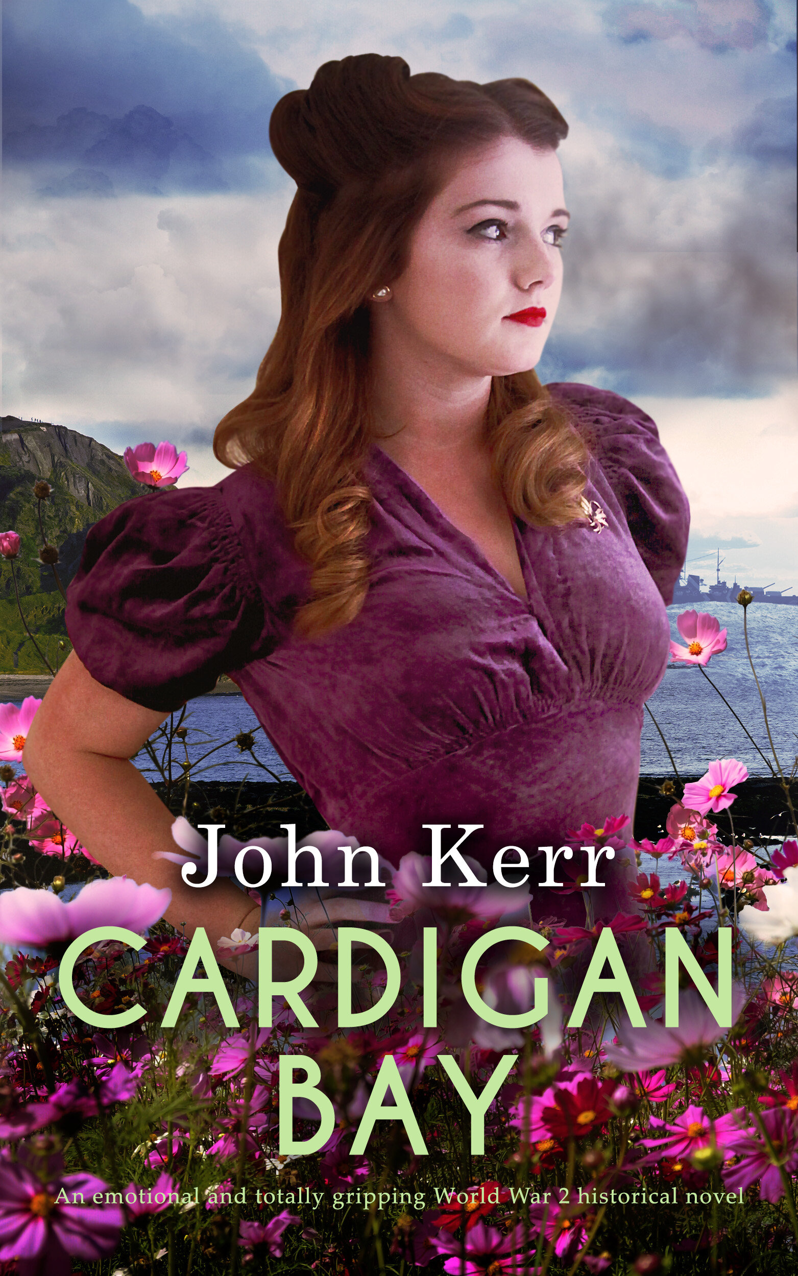 Cardigan Bay PUBLISH COVER TAGLINE.jpg