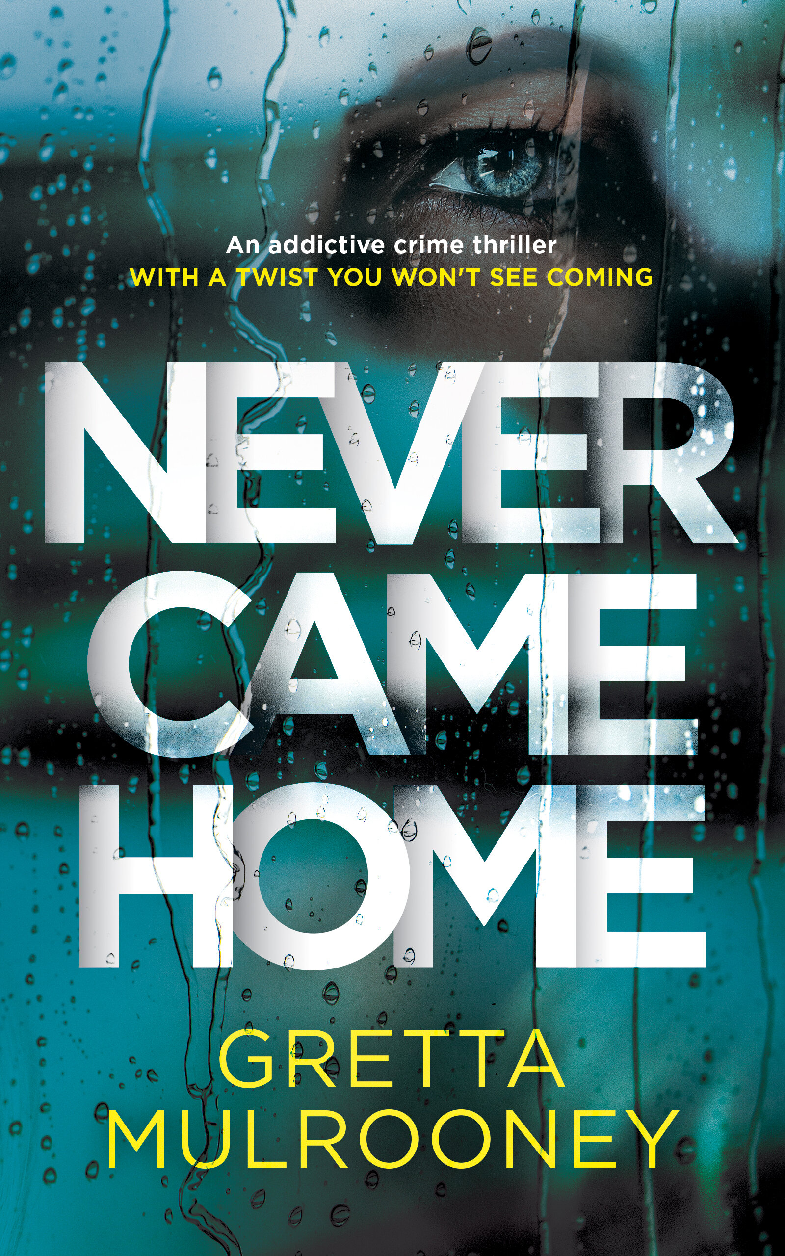 NEVER CAME HOME Publish.jpg