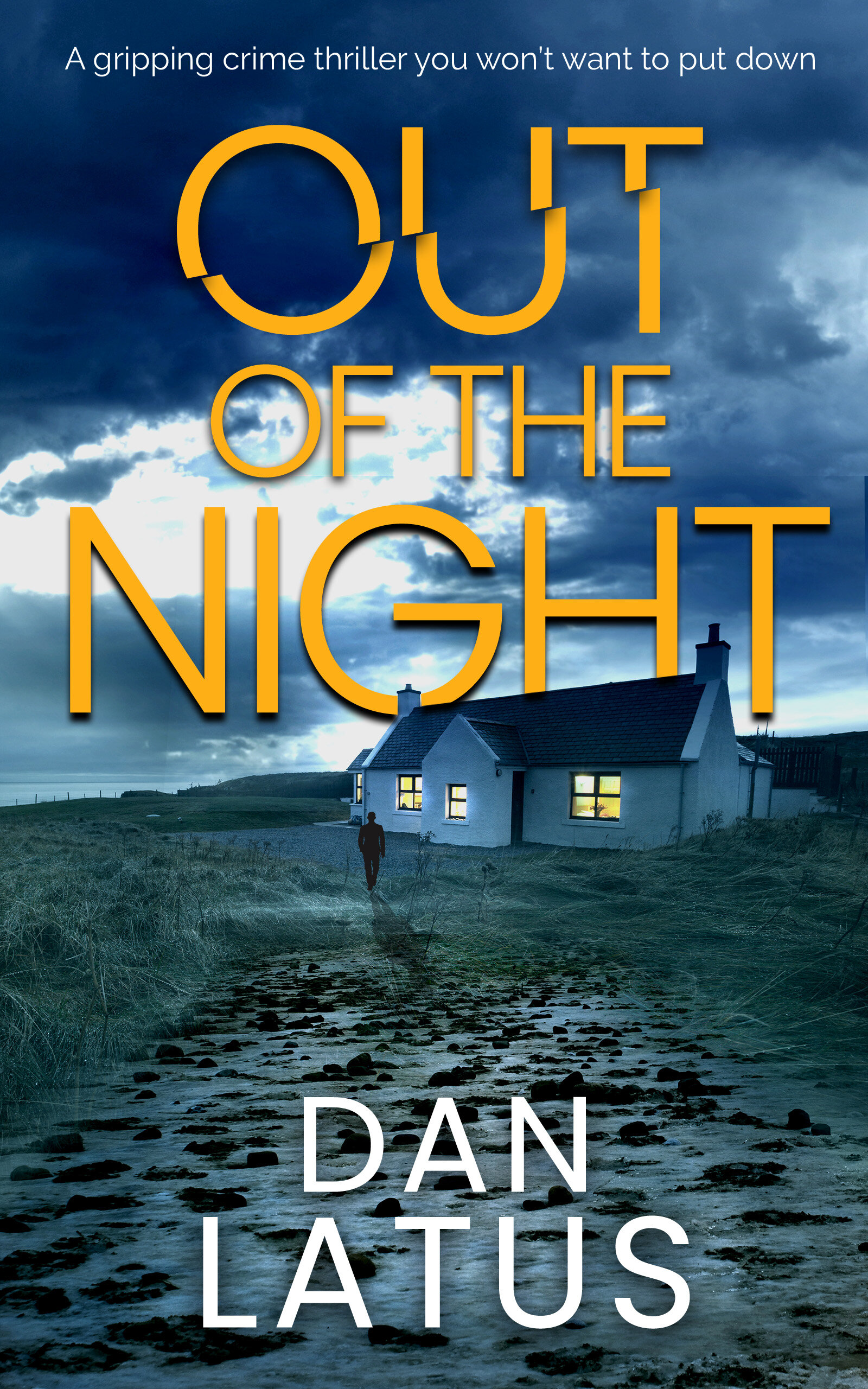 OUT OF THE NIGHT COVER FINAL.jpg