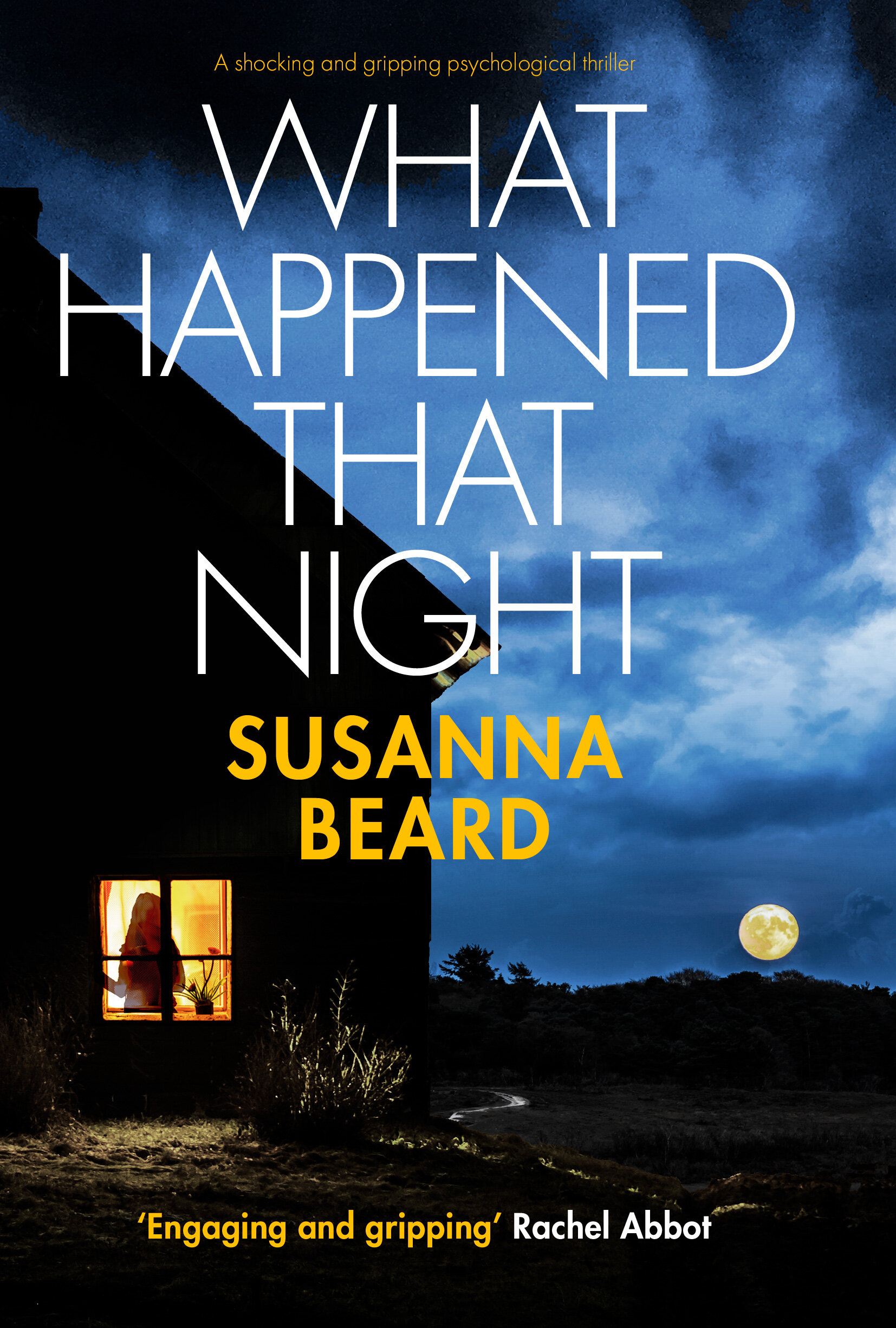 WHAT HAPPENED THAT NIGHT Publish Cover with Tagline.jpg