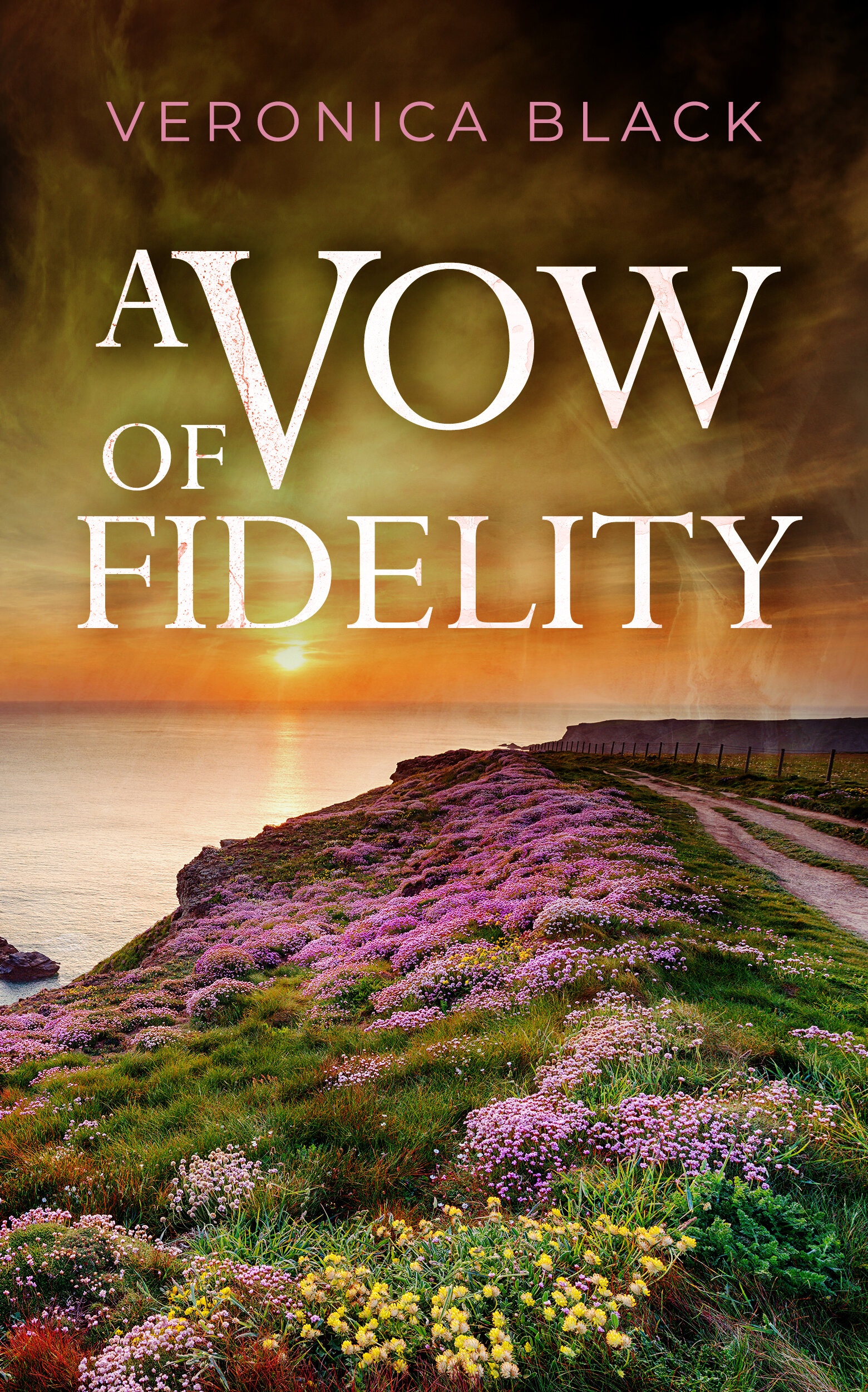 A VOW OF FIDELITY publish cover.jpg