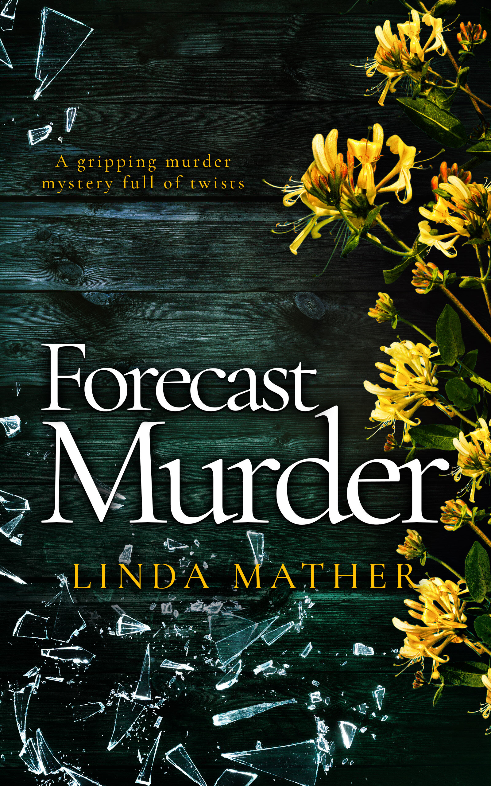 Forecast Murder publish cover.jpg