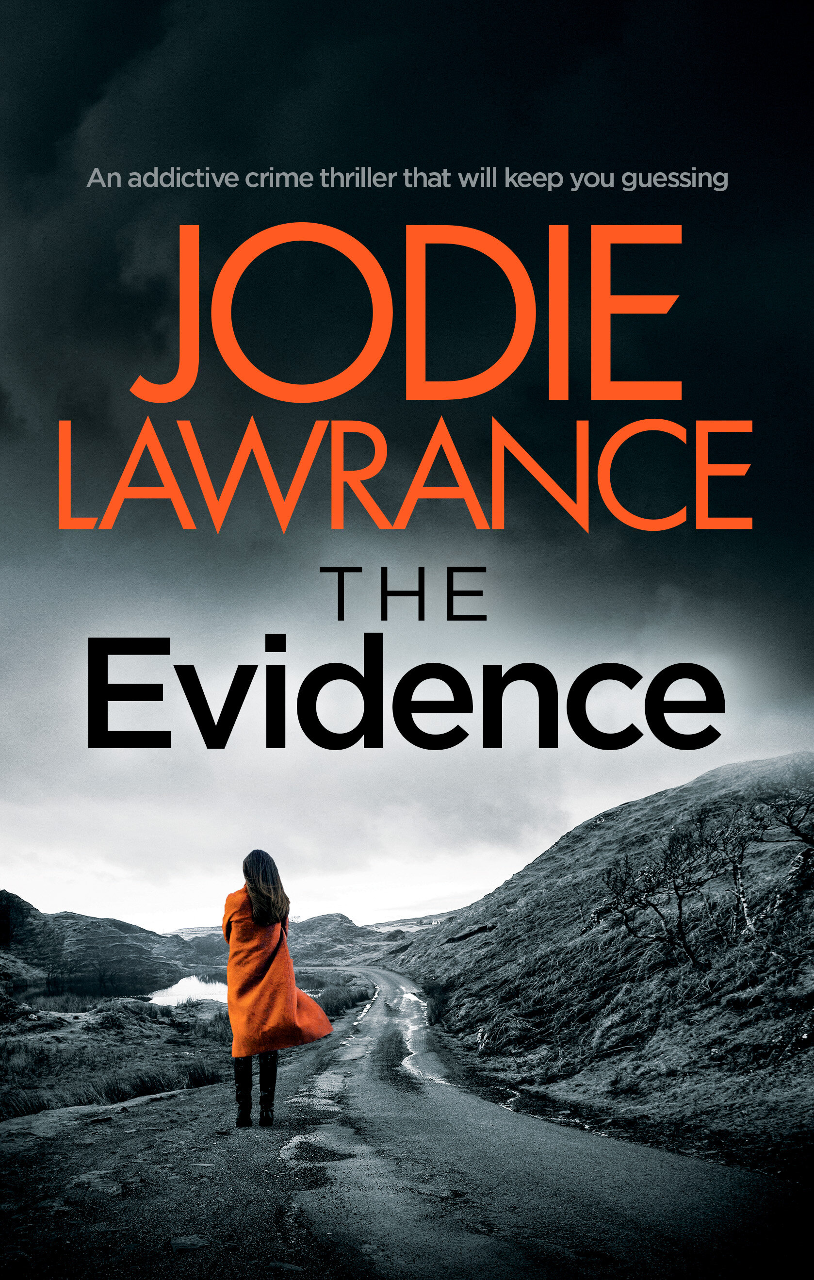 THE EVIDENCE Publish Cover.jpg