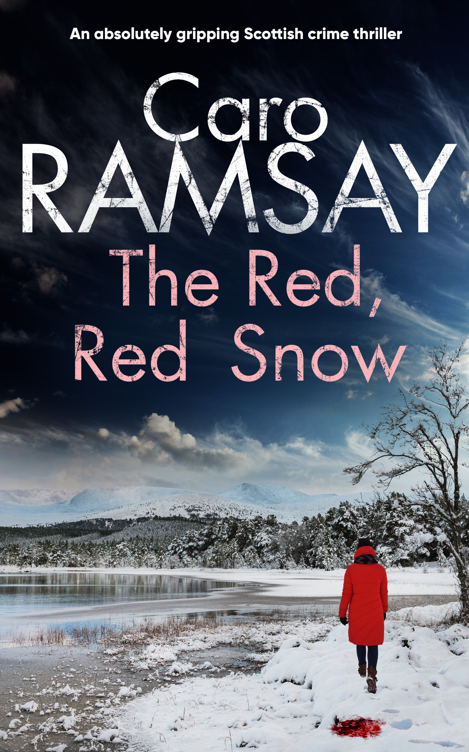 THE RED RED SNOW.jpg