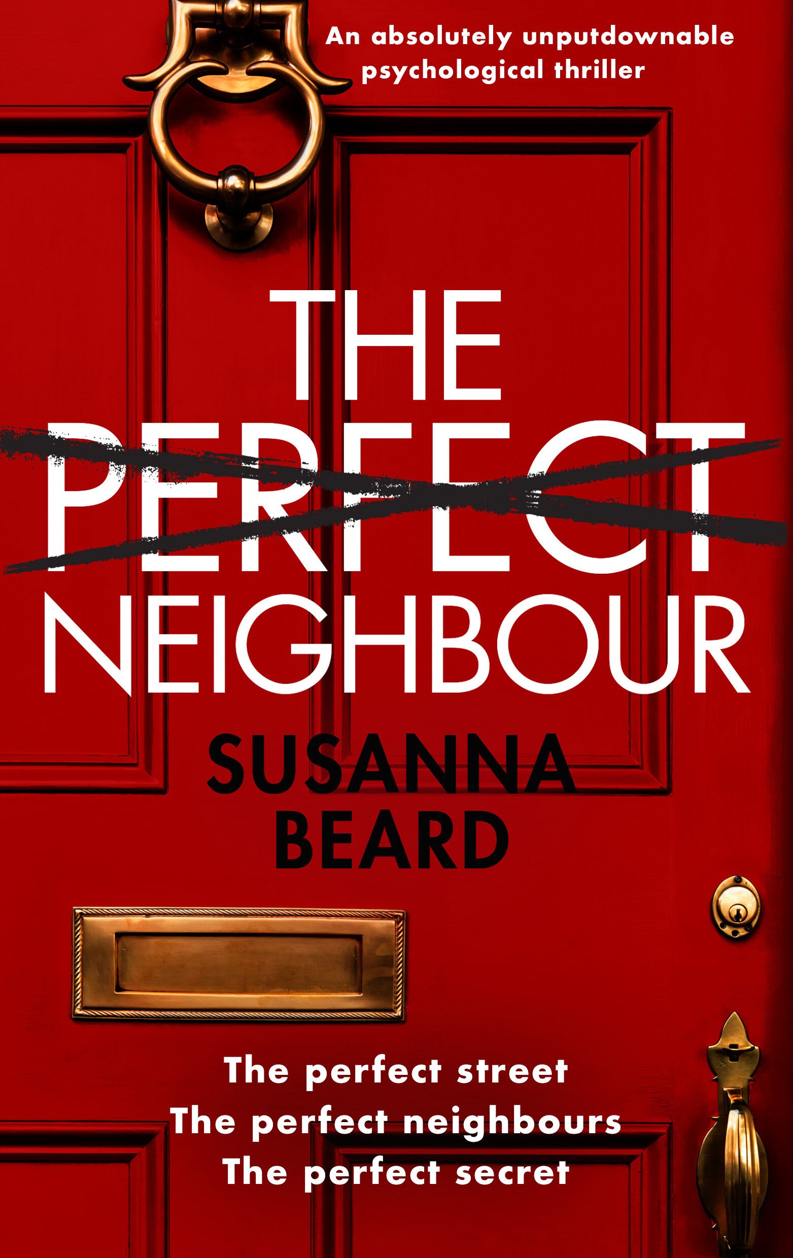 THE PERFECT NEIGHBOUR cover.jpeg