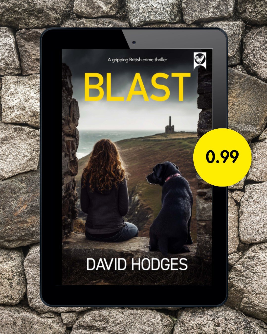 Beauty. Fame. A glittering future.
Then came the bomb. And everything changed 💣

Blast by David Hodges is a gripping British crime thriller with secrets, second chances, and a killer who&rsquo;s not quite finished yet.

Now Lynn&rsquo;s hiding in a 