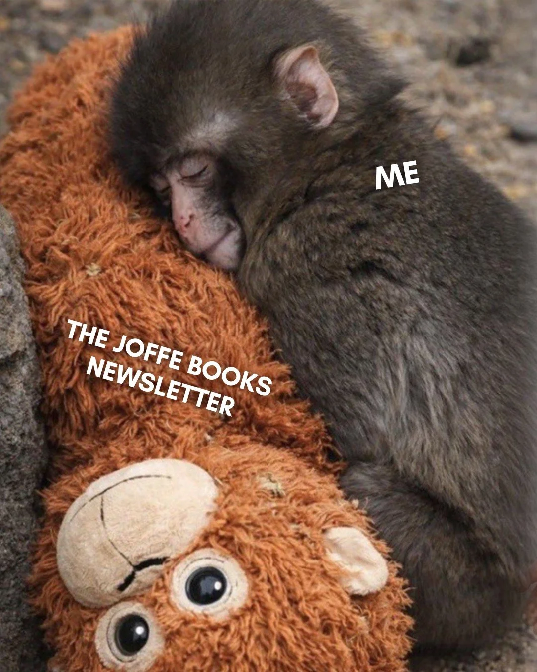 Free books every week? Yess please! free.joffebooks.com/Y1JUOH