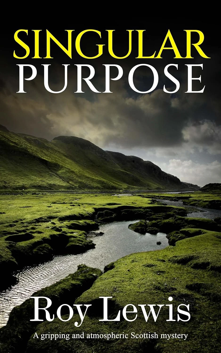 SINGULAR PURPOSE.jpg