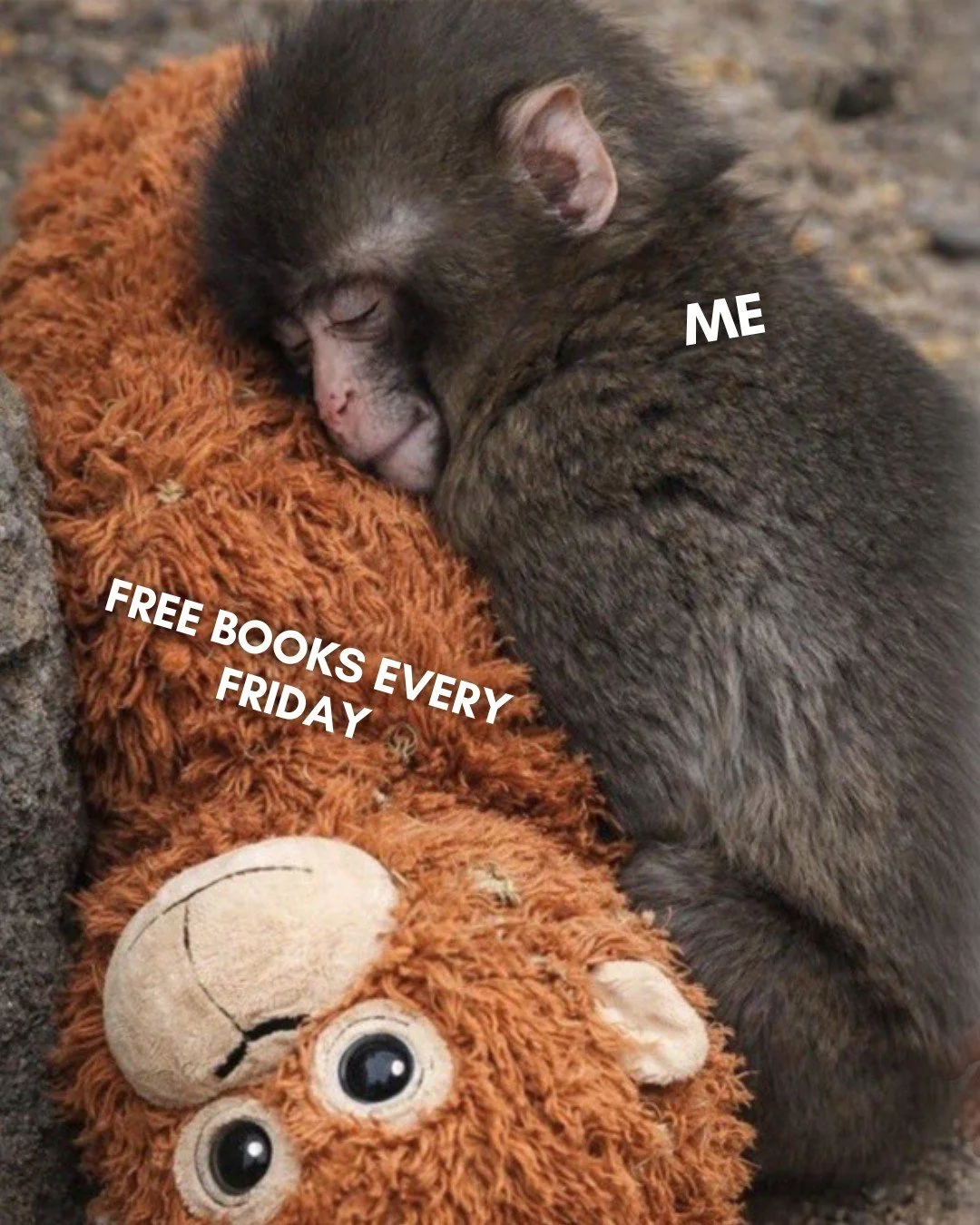 Free books every week? Yess please! free.joffebooks.com/Y1JUOH