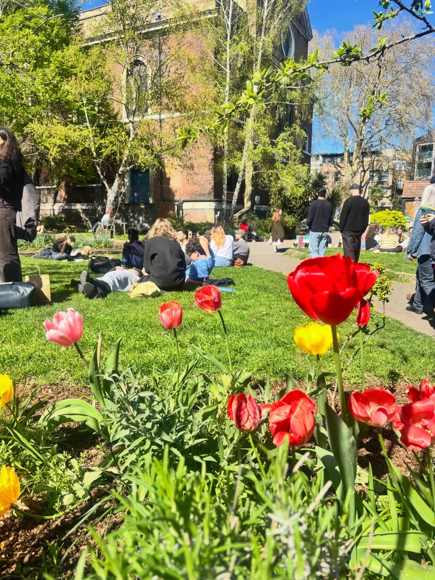 🌞🌷Such a beautiful day here in London! 🌷🌞
