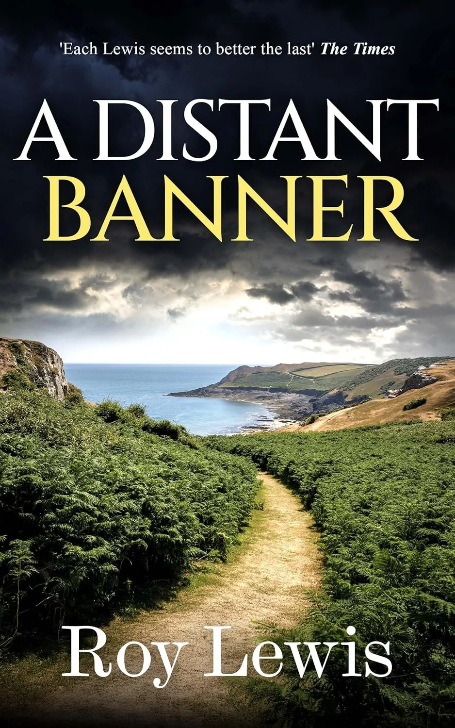 DISTANT BANNER.jpg