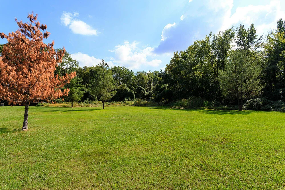 1000px_Holly_Spring_OCT_2013_greenery (2).jpg