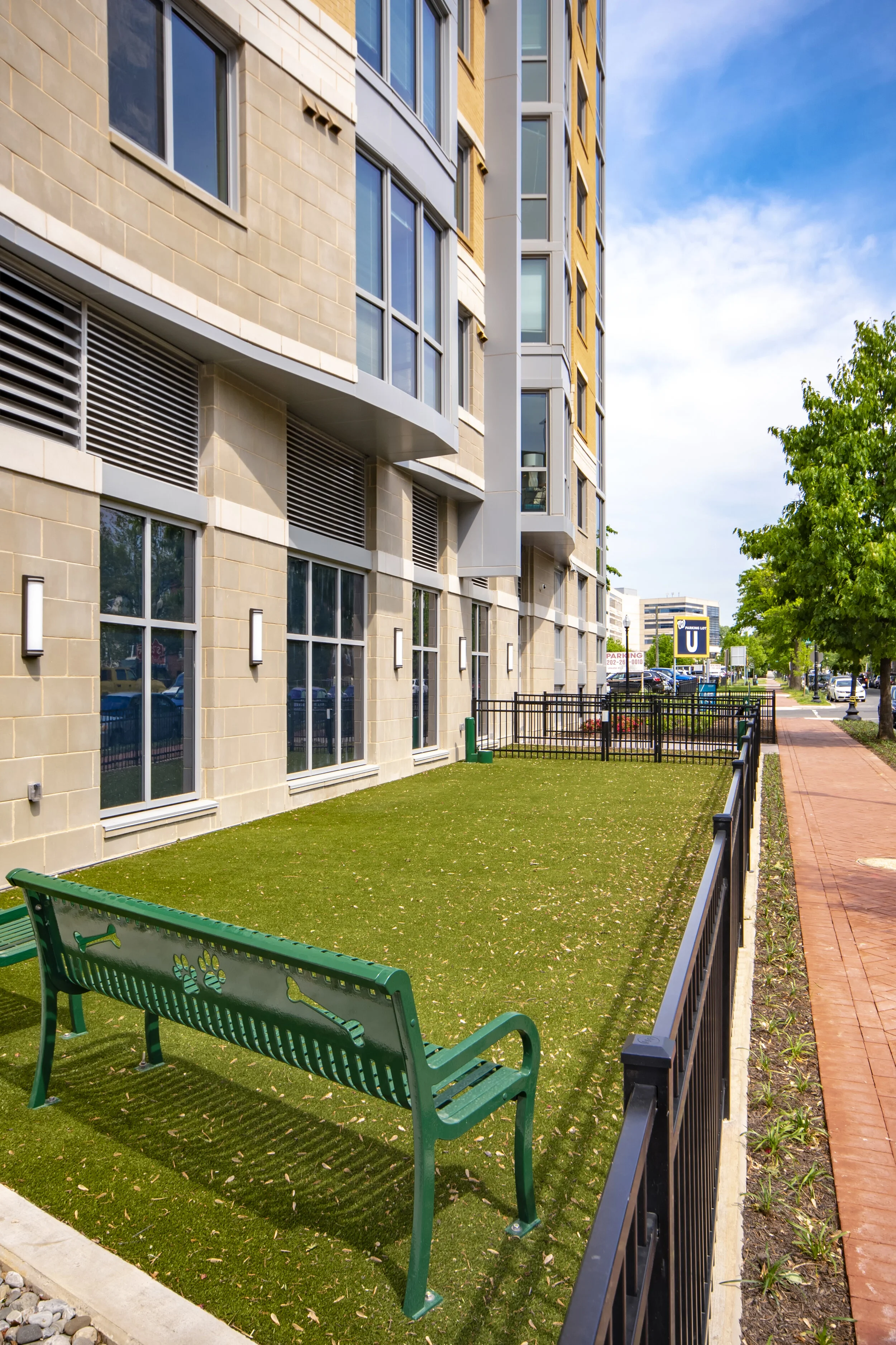 Harlow - DogParkv2.jpg