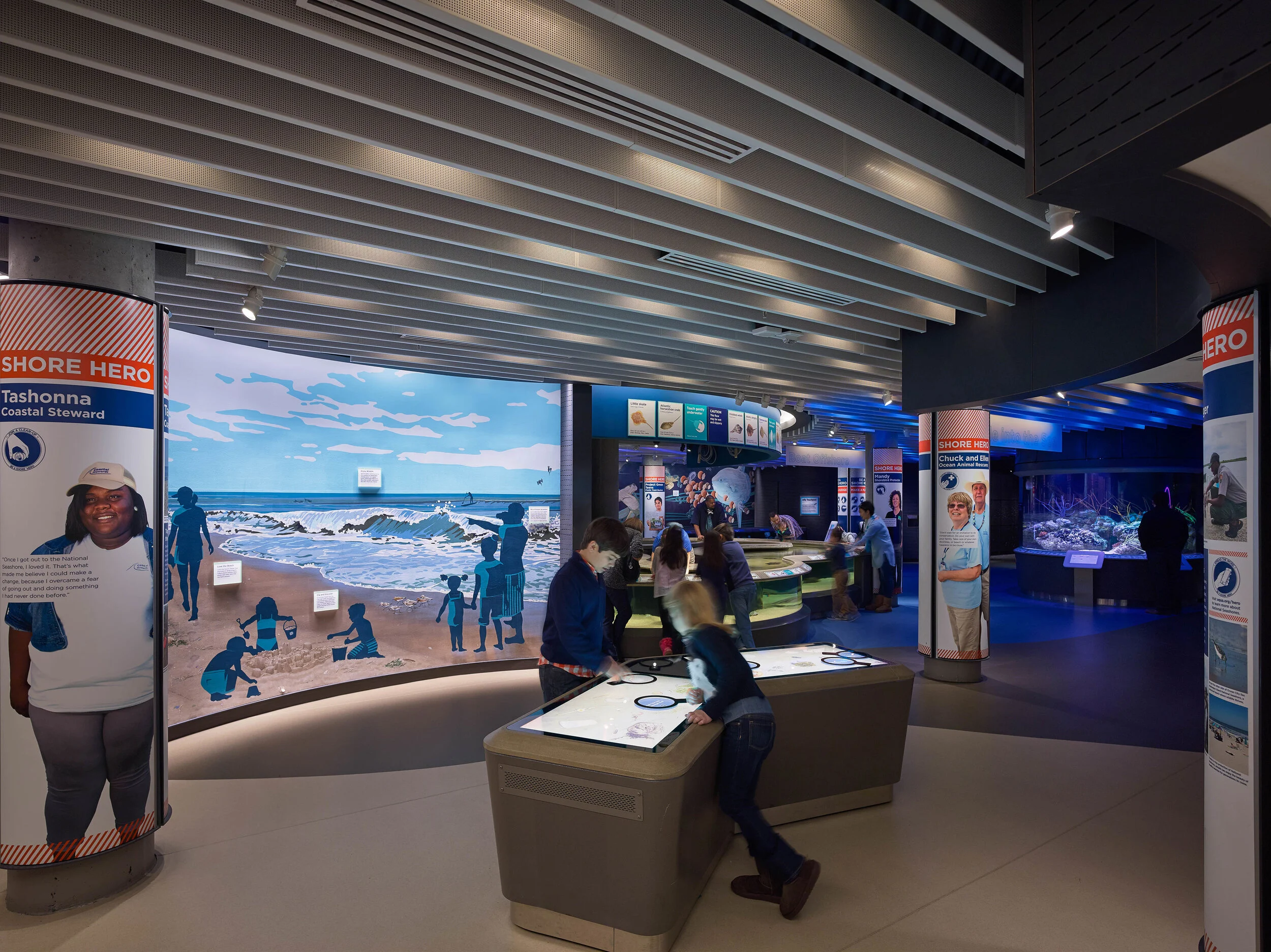 Living Seashore - National Aquarium