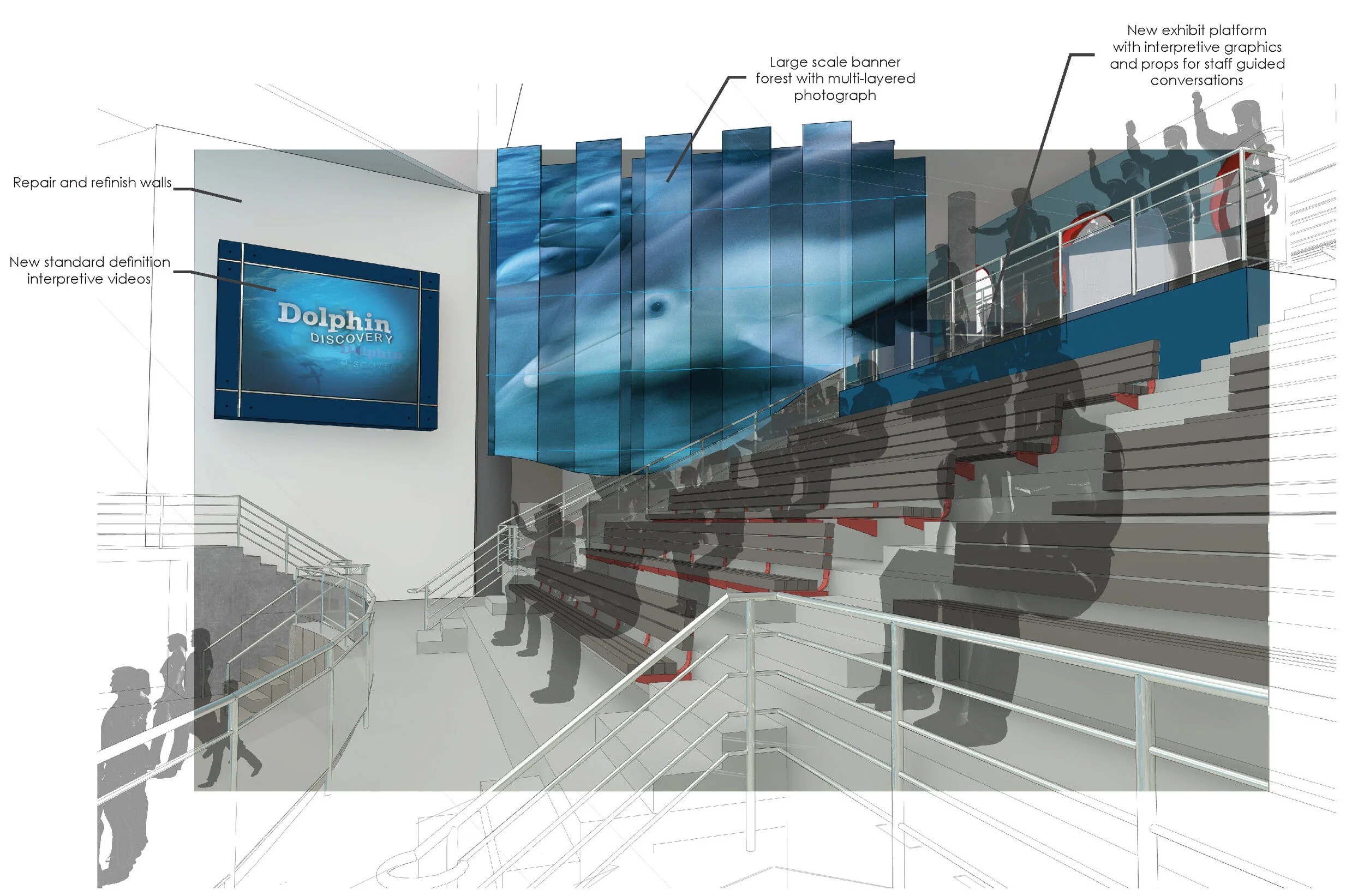 Dolphin Discovery - National Aquarium