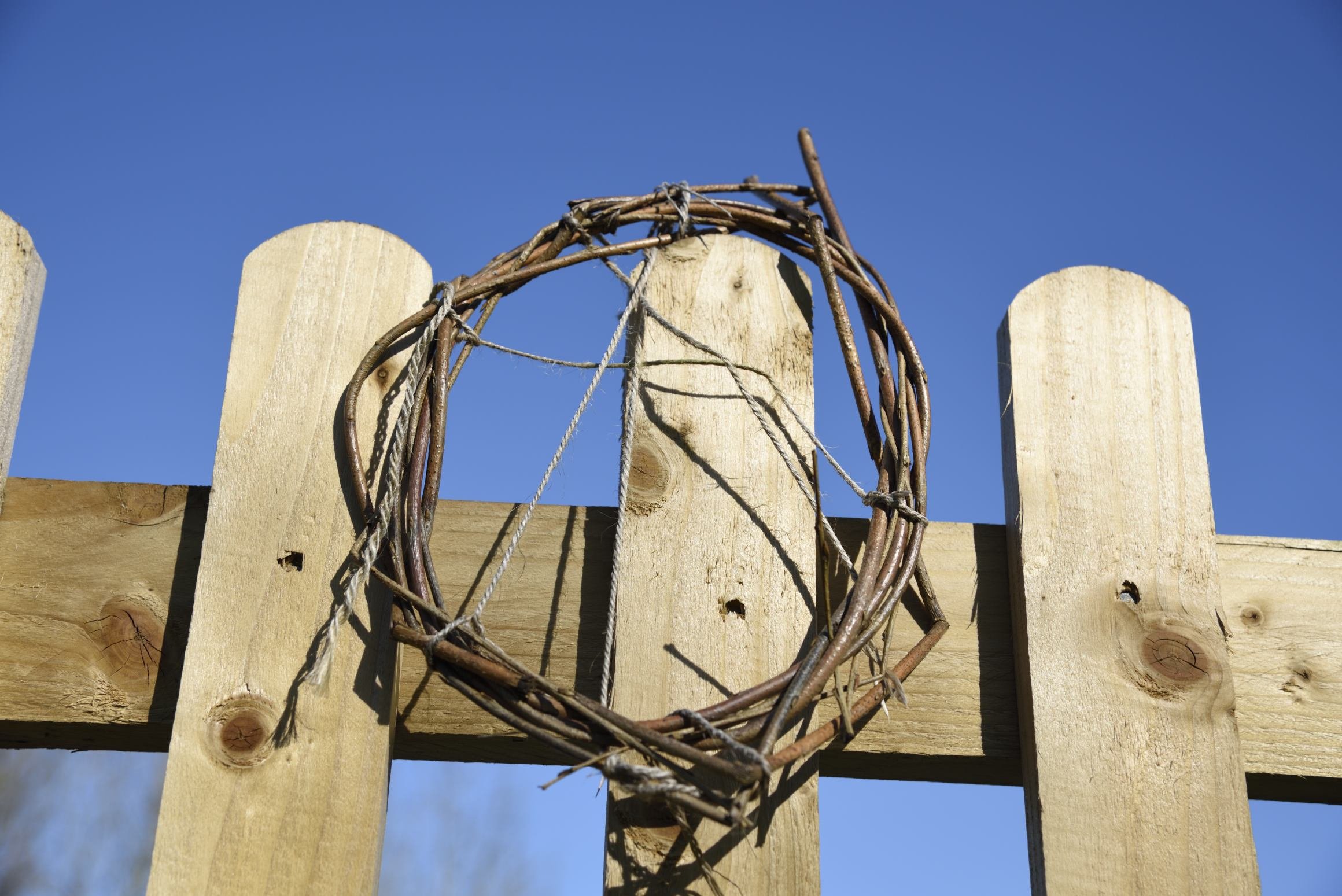 _DSC8369_252 (1).JPG