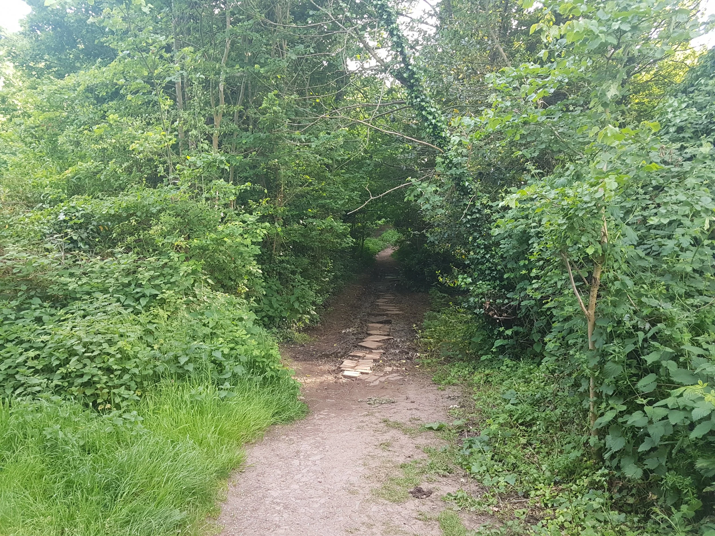 20180523_175630.jpg