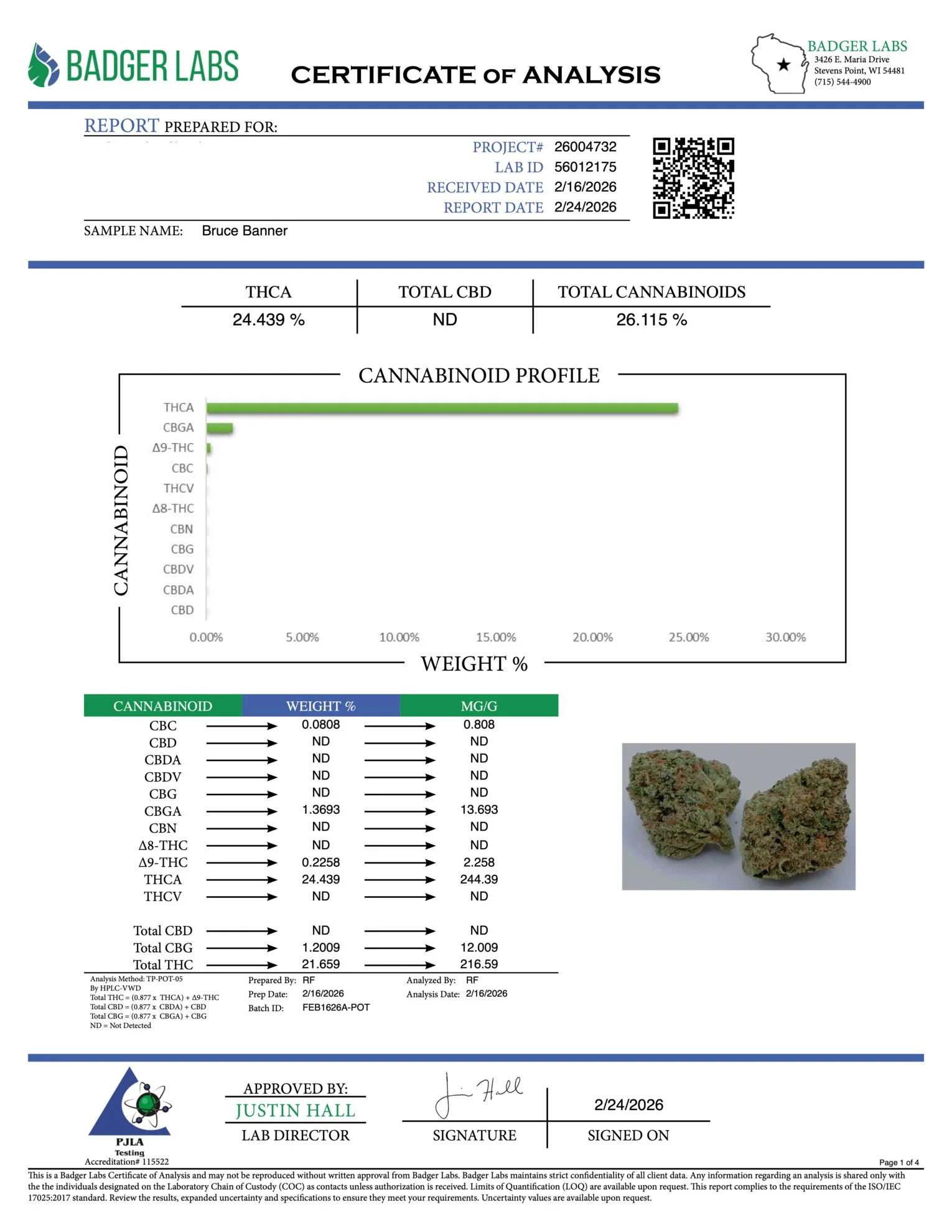 Bruce Banner