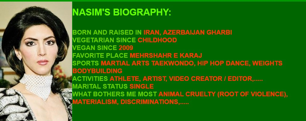 Digital collage by Nasim Najafi Aghdam