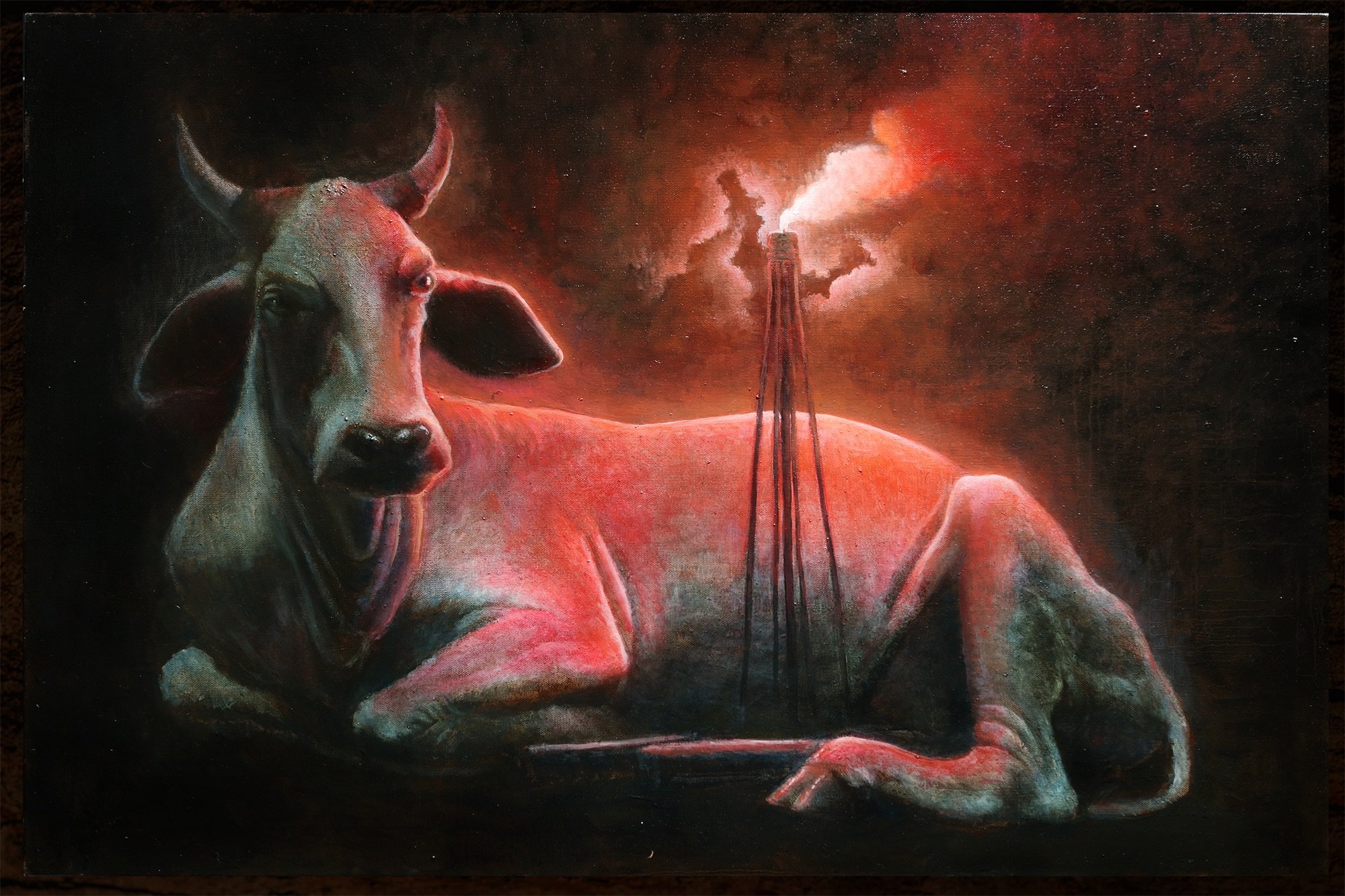 04_Geary_Cow in Oil Field.jpg