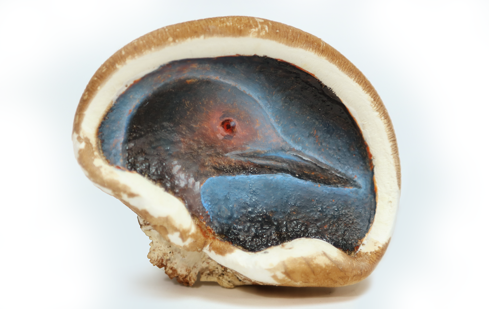 Loon, collected and dried in New Hampshire 2020, painted 2021.  Oil on birch bracket fungus.  3"x2.5".