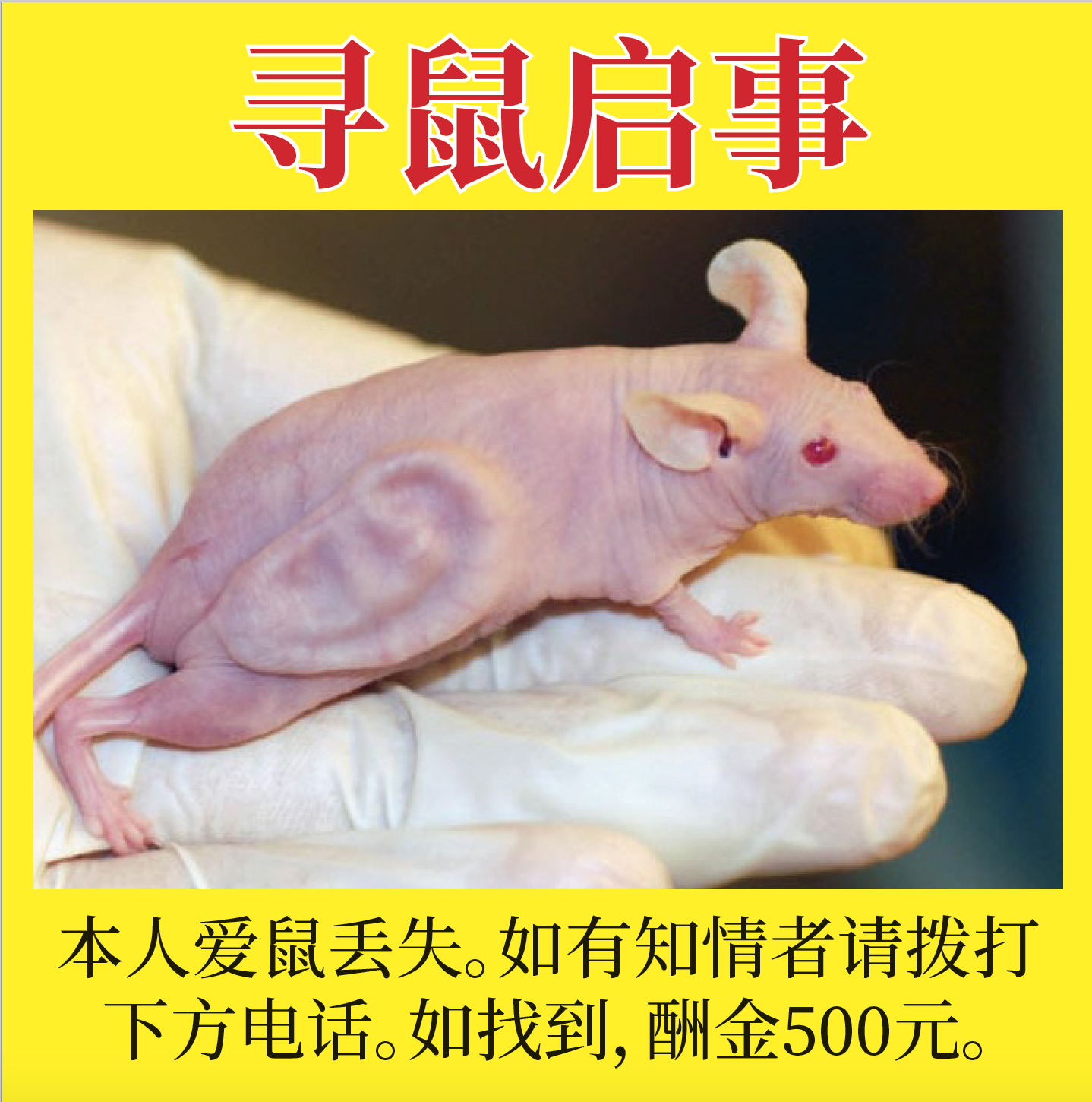 Screen Shot 2020-03-04 at 11.17.45 PM.PNG